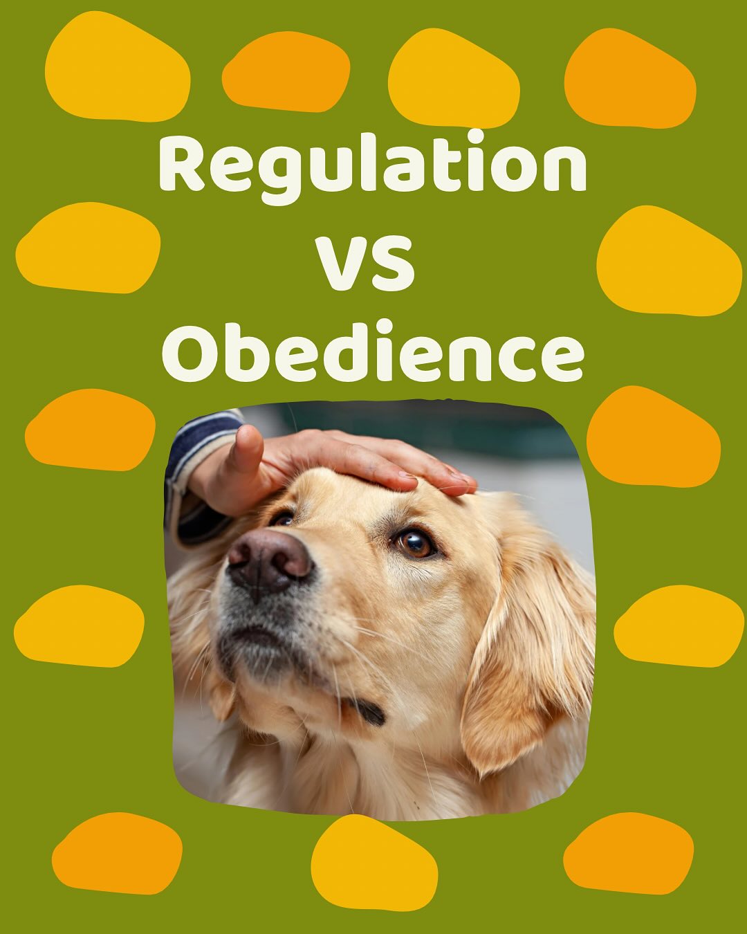 Nope, this post isnât about dogs.
We just defined regulation vs obedience because they are not the same thing.
The aim isnât to raise perfectly obedient, compliant children who sit, stay, and follow commands without question.
The aim is to raise emotionally aware, resilient, curious thinkers who ask why, speak up, and challenge the norm.
Because those kids?
Theyâre the ones who grow up to be innovators, leaders, creators, the ones who write their own paths.
And hereâs the truth: regulation doesnât always look cute.
It can be messy. Loud. Frustrating.
But guess what?
Thatâs how we process emotions and we really donât need more robots or dogsâŚ
Sorry, not sorry. âď¸