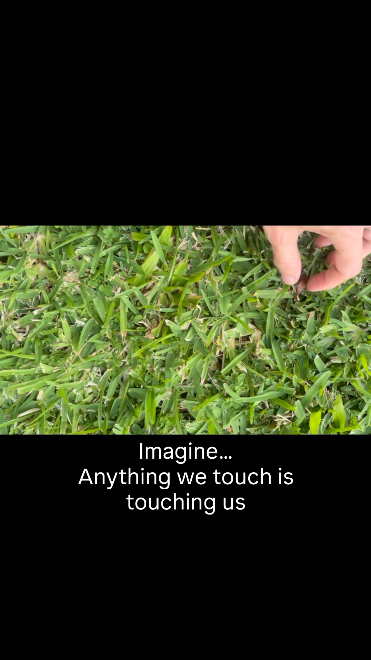 A short poem as I have a chat with Mother Nature, the grass I normally walk past, walk over.
Using your imagination next time you are in nature… what would anything you touch be offering you as it touches you, your hand, the bottom of your feet.
In-JOY the interaction 💖
#motherearth #poetry #grass #slowdown #senses #touch #feel #hear #see #blessings #grateful