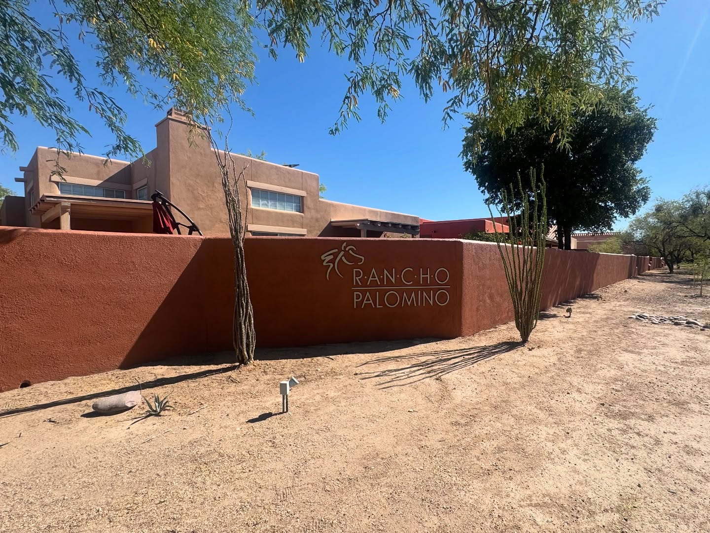 Fresh coat, fresh look. HOA front walls at Rancho Palomino are looking brand new after many repairs! 🔥 #HOAPainting
#ExteriorPainting
#DesertLiving
#RanchoPalomino
#CommunityCurbAppeal
#AZPainter
#StuccoPainting
#SouthwestStyle
#TucsonHomes
#PaintingTransformation