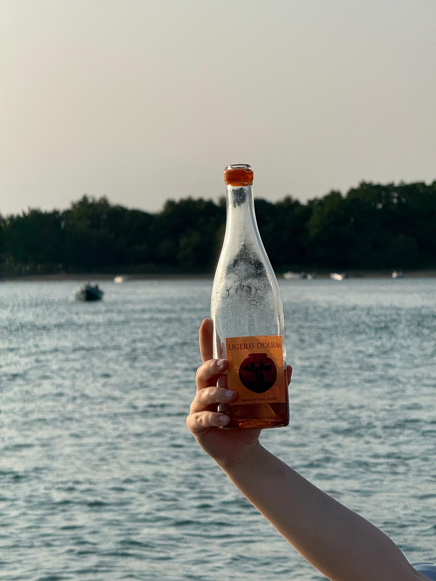 @domaine_lambert_chinon Ligeris Dolium in Laguna, Venice. Summer 2025
Thanks @gabrielespalluto ๐ธ
#rocknbolla #naturalwine #chinon #swiss