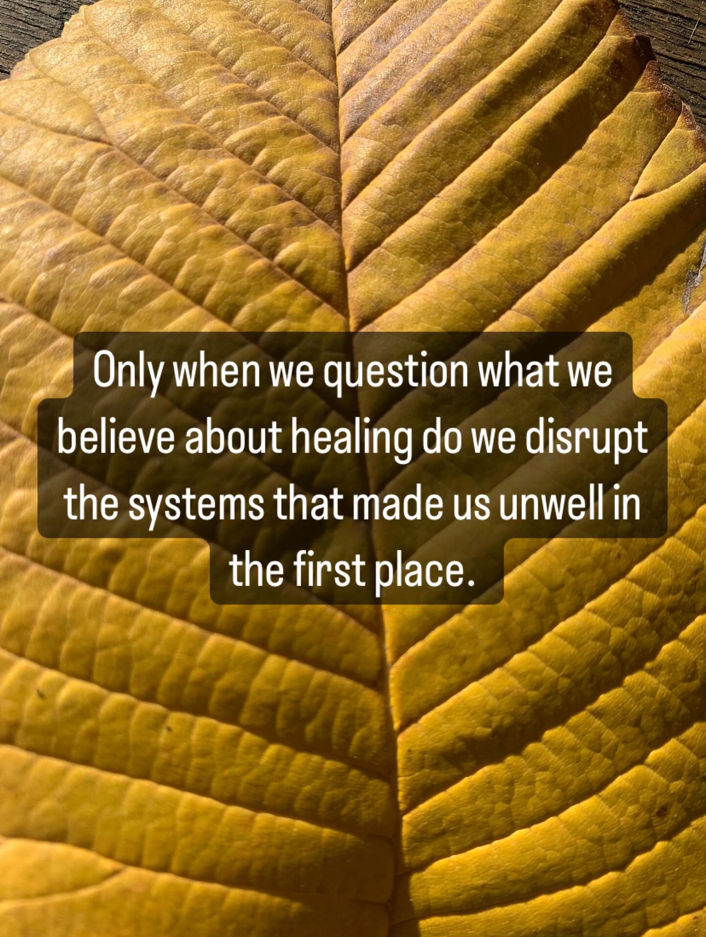 We’ve been taught that healing looks like self-improvement — more individual work, more ice baths, more striving.
But so often, these are just new ways of staying separate. From each other. From our animal bodies. From the earth.
They keep us in motion — always reaching, always fixing — instead of standing still, feet in the soil, remembering what it is to belong.
Kinship spaces offer another way.
This is the last week to enrol in Tend and Unbound — spaces to come back to your body, your rhythms, your place in the web.
Enrol @megjberryman