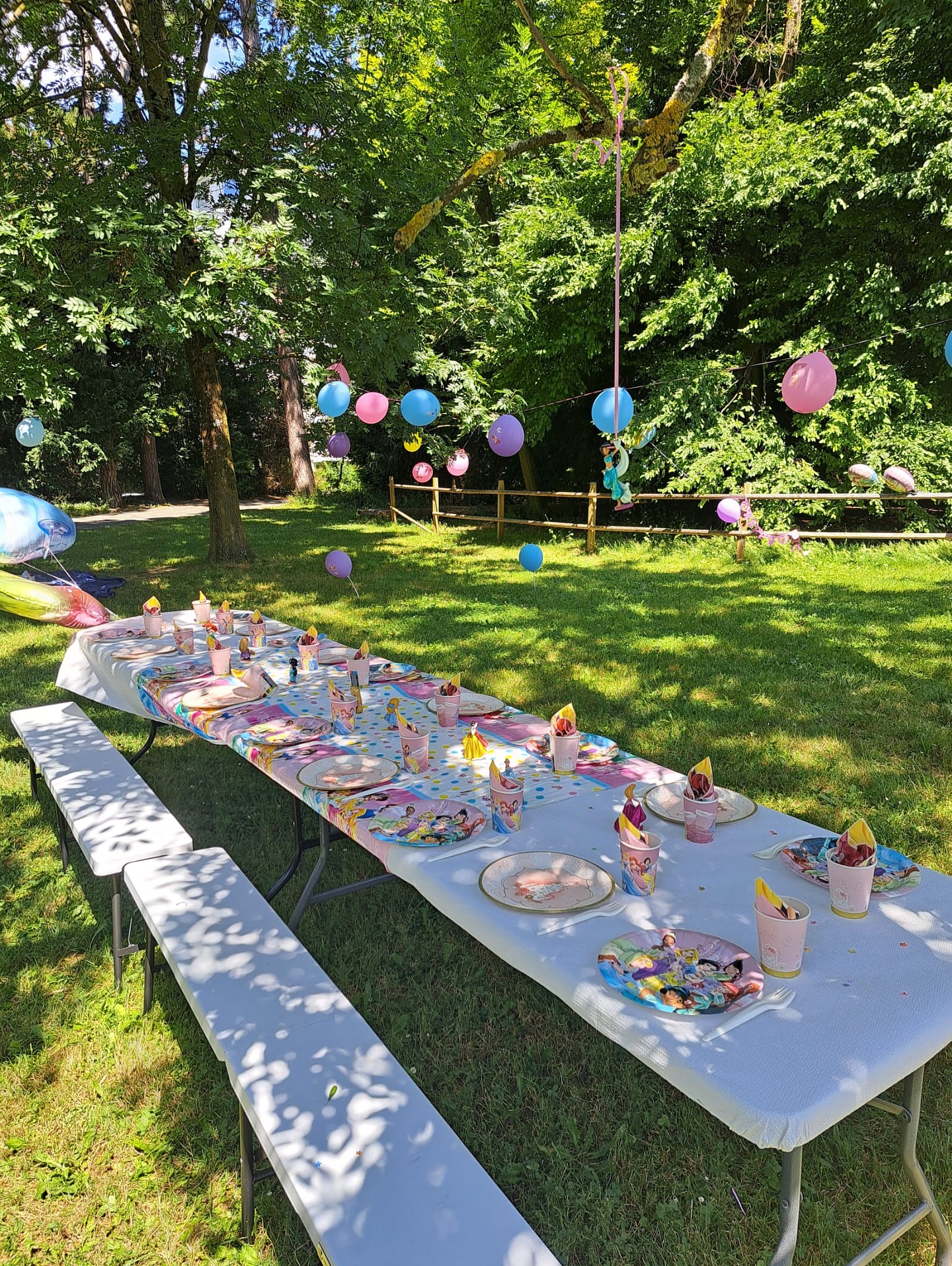 Nous avons organisé l’anniversaire estival de Polina au Parc Bertrand 🌸🌳
Thème princesse qui à ravi filles et garçons pour une après-midi haute en couleurs, en paillettes et en rires !
#caose #anniversaireprincesse #anniversaireauparc #celebration #ideeanniversaireenfant #anniversaire #anniversaireenfant