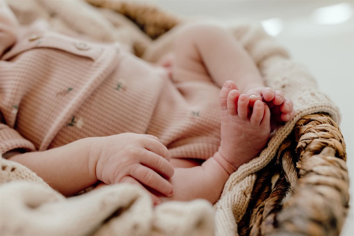 Little toes and little fingers on a new baby… the sweetest details ever captured. 🥹 Also, swipe to the very end for a pre-baby photo with this same onesie with mom & dad!
#newbornphotoshoot #neworleansphotographer #neworleansnewbornphotographer #louisianaphotographer #southlouisianaphotographer #hattiesburgphotographer #hattiesburgmsphotographer #hattiesburgnewbornphotographer #mississippiphotographer #mississippinewbornphotographer #studionewbornsession