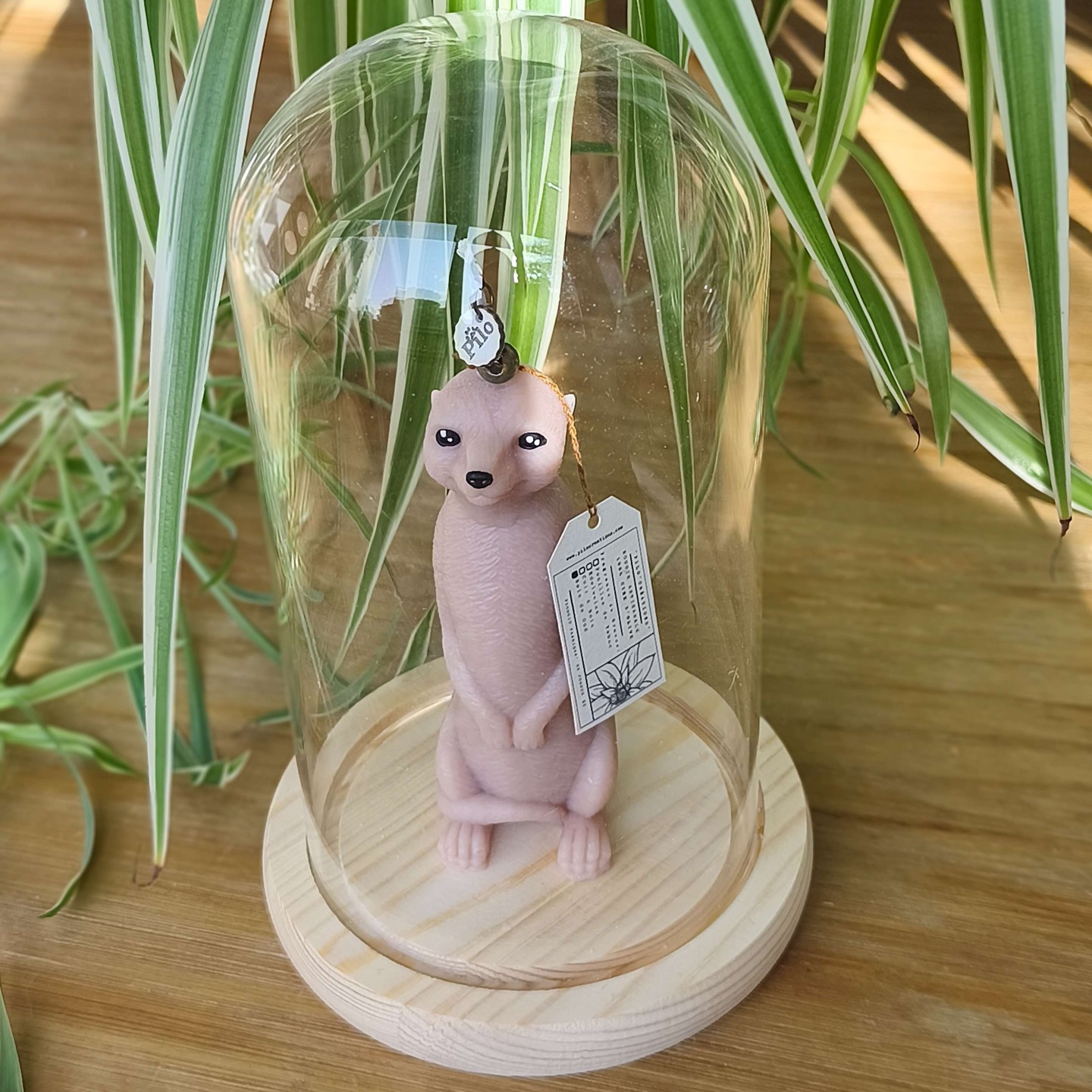 🦦 Totem de vigilance, de douceur et d’ancrage 🌿
Sous sa cloche de verre, ce petit suricate évoque calme 🧘 et force tranquille 💪
Une bougie au design original, pour une ambiance chaleureuse 🕯️ et moderne 🛋️
📍À retrouver sur www.pilocreations.com, dans la gamme Totem pour hommes 👨🦰🔥
#ObjetsQuiFontSens ✨ #DécoIntérieure 🏠 #BougieTotem 🕯️ #PiloCréations 🇫🇷
#CadeauPourLui 🎁 #BoutiqueDécoFrançaise 🛍️ #EspritAnimal 🐾 #ArtisanatDeCaractère 💼
#DesignResponsable ♻️ #PièceSingulière 🦦 #ConceptStoreSélection 🌟