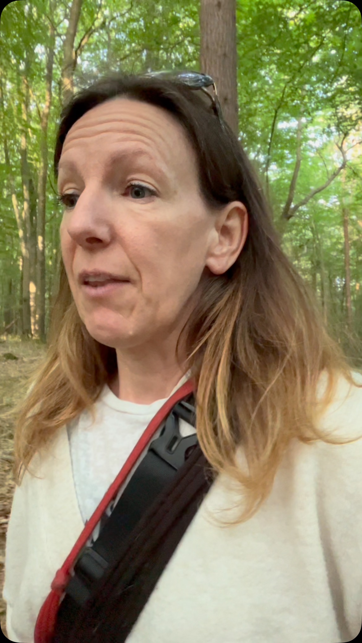 Have you ever stopped to wonder how much we ask of our animals?
Vet trips. Trailer loading. Walks down busy roads. Loud environments. New people, new dogs.
And all the while — they’re not just responding to what we do, but how we do it.
Our energy speaks before we do.
They feel our tension, our worries, our unspoken thoughts.
They know.
The more we pause, breathe, and soften…
the safer they feel — and the deeper our connection becomes.
This isn’t “woo” – it’s energy. It’s vibration. It’s presence.
And it changes everything.
✨ Awareness is the first step.
✨ Listening with your heart is the next.
#AnimalConnection #ConsciousPetParenting #EnergyMatters #DogLovers #HorseLovers #SoulAnimals #PetWellbeing #TraumaInAnimals #FrequencyHealing #AnimalCommunication #EnergeticAwareness #HeartLedLiving #MoreThanADog #SacredStrides #SoulAwakening