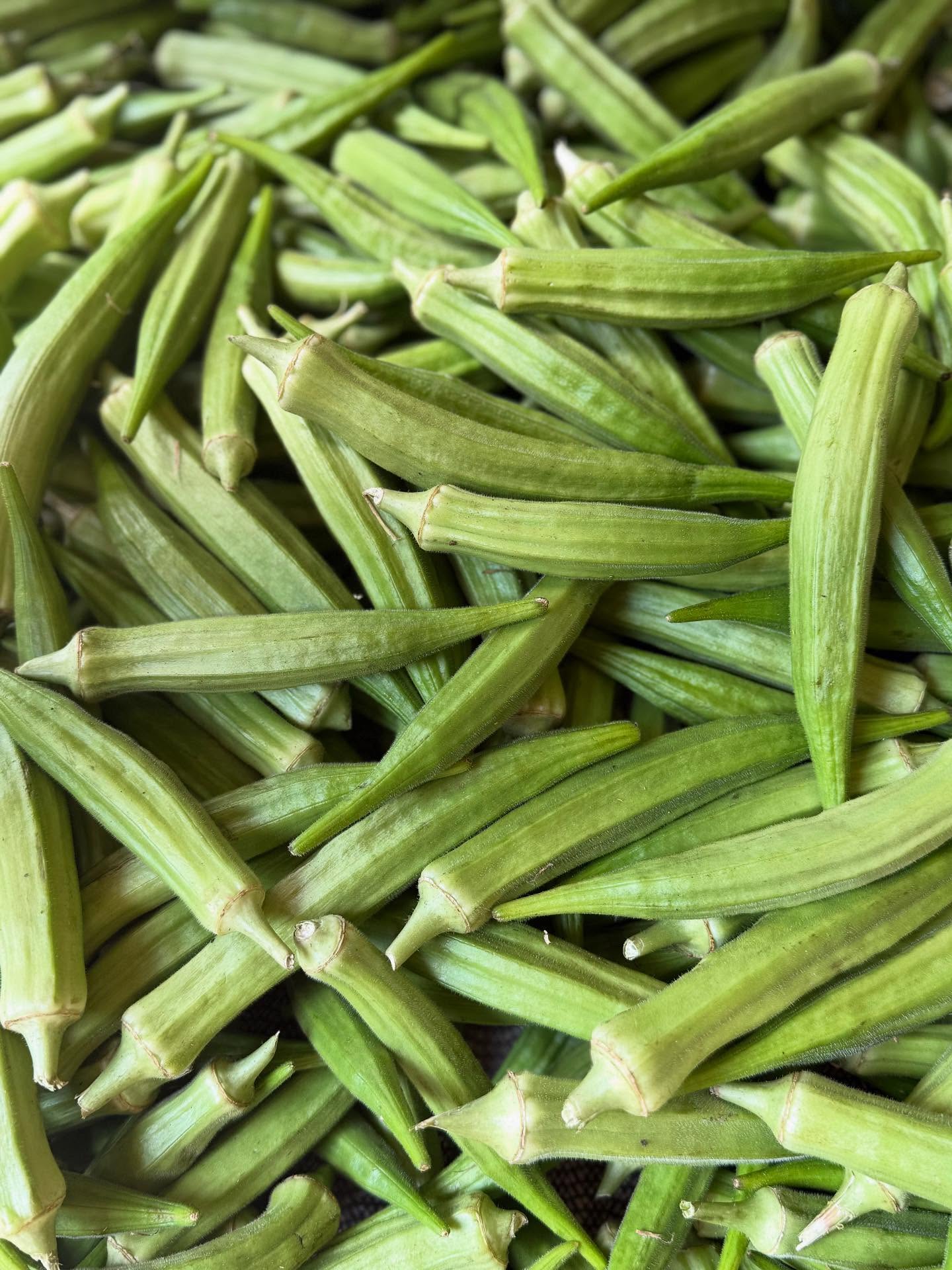 🌿✨ Our produce is absolutely glowing this week at Joseph Fields Farm! From vibrant greens to sun-kissed tomatoes, everything is bursting with flavor and freshness. 💚🍅🌽
Come see for yourself:
📍 Park Circle Farmers Market – Today!
📍 Marion Square Farmers Market – Saturday!
Can’t make it? No worries! Sign up for our CSA (Community Supported Agriculture) and get a weekly box of farm-fresh goodness straight from our fields to your table.
📧 Email us to join: josephfieldsorganicfarm@gmail.com
#JosephFieldsFarm #OrganicGoodness #FarmFresh #CharlestonSC #CSA #SupportLocalFarmers #EatSeasonal #FarmersMarketVibes