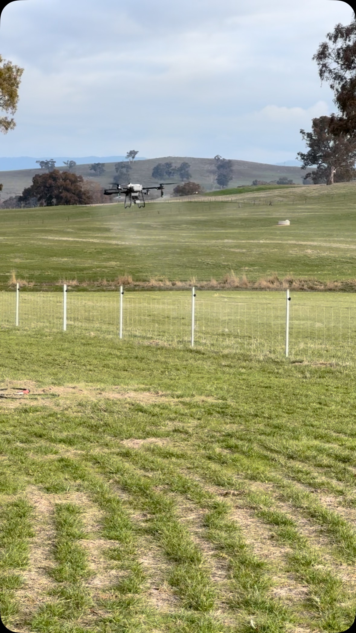 Giving these winter pastures a boost #djiagras