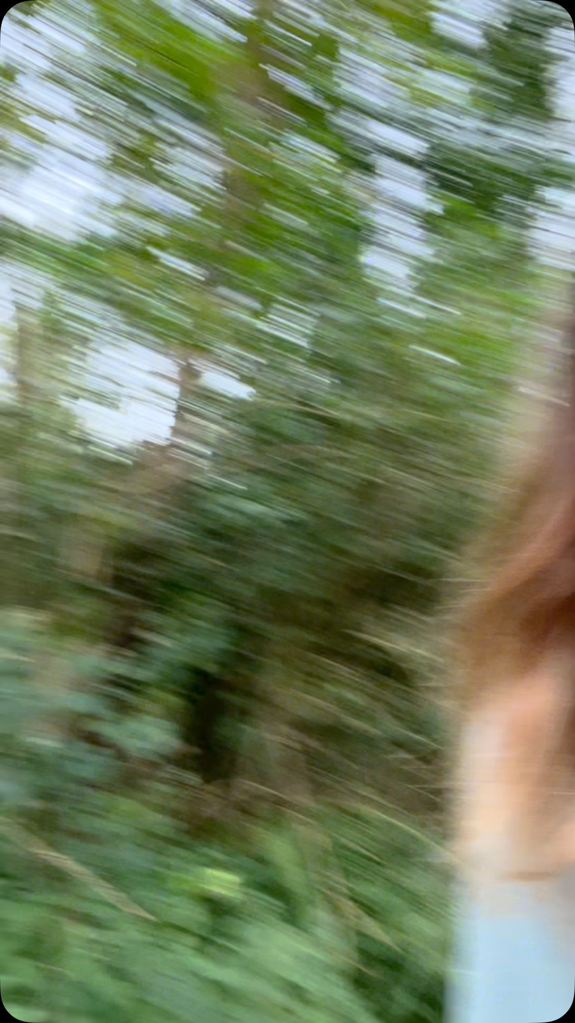 A day at Forest Edge with horses humans & tarot ✨