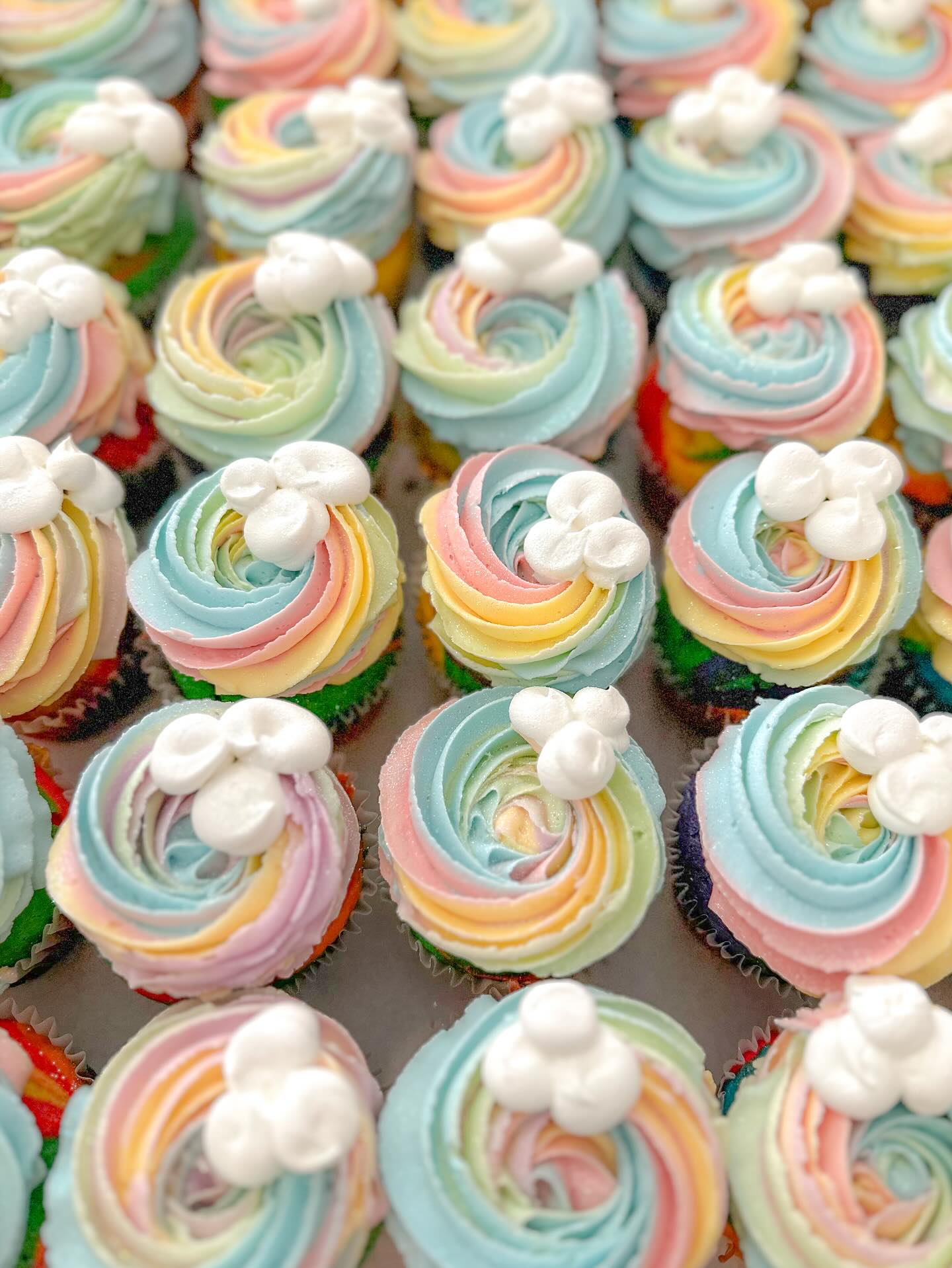 Taste the rainbow🌈✨
#customcupcake #rainbowcupcakes #rainbowbirthday #birthdaycupcakes