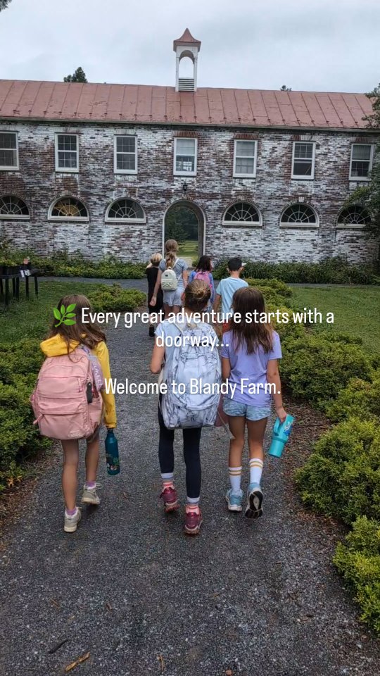 Tucked deep in the VA State Arboretum is a place without signs or fences—a hidden Bamboo Forest claimed by kids with muddy shoes and big imaginations. ✨
Our trail to get there winds through welcome centers, hills, old stone walls, and towering trees... but the real magic starts when the kids take over.
No rules. No schedule. Just exploring, fort-building, climbing, and wild joy.
🌿 Long live childhood.
#LearningAdventureBus #BambooForest #VAStateArboretum #hiddengem #ChildhoodUnplugged