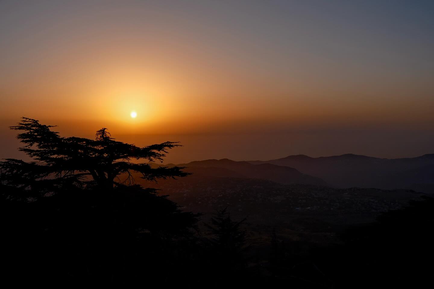 LEBANON
One of the most incredible trips I took with my best friend and her family in Sawfar. So thankful for their hospitality and everything I got to experience.. the food, music, architecture, art, parties. Everything was so uniquely beautiful.
•
•
•
#lebanon #beirut #batroun #fujifilm #fujixseries #summerinmiddleeasr #photography #lebanon_pictures #lebanesephotographer #lebanesephotography #lebanon🇱🇧 #middleeast #streetphotos #fujifilmxs20 #fujifilmx_us #summertime #lightroommobilecontest #fujilove