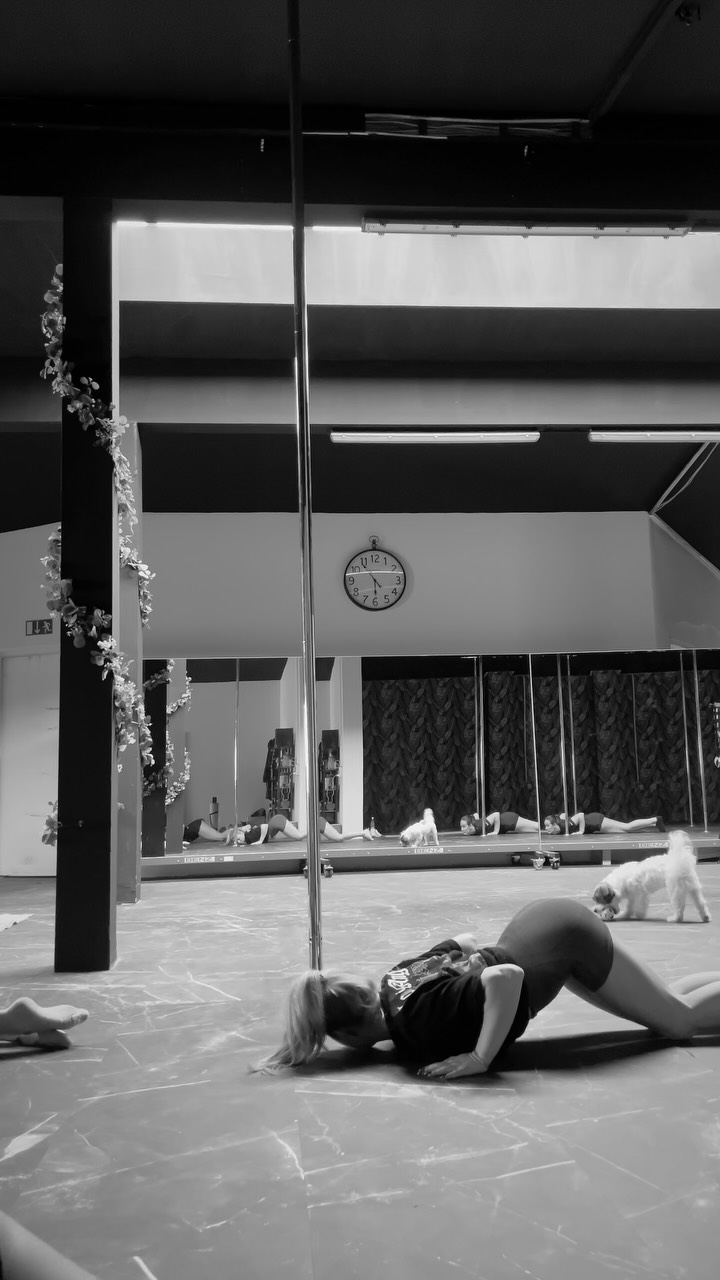 Another day another Choreography
Song: Express - Christina Aguileira
Paid Actor: Ice (the Dog)
Das Video ist nicht perfekt aber so sieht nunmal ein echtes Training aus 🥰
#poledance #woman #choreography #burlesque #dogfail #sport #sportmotivation