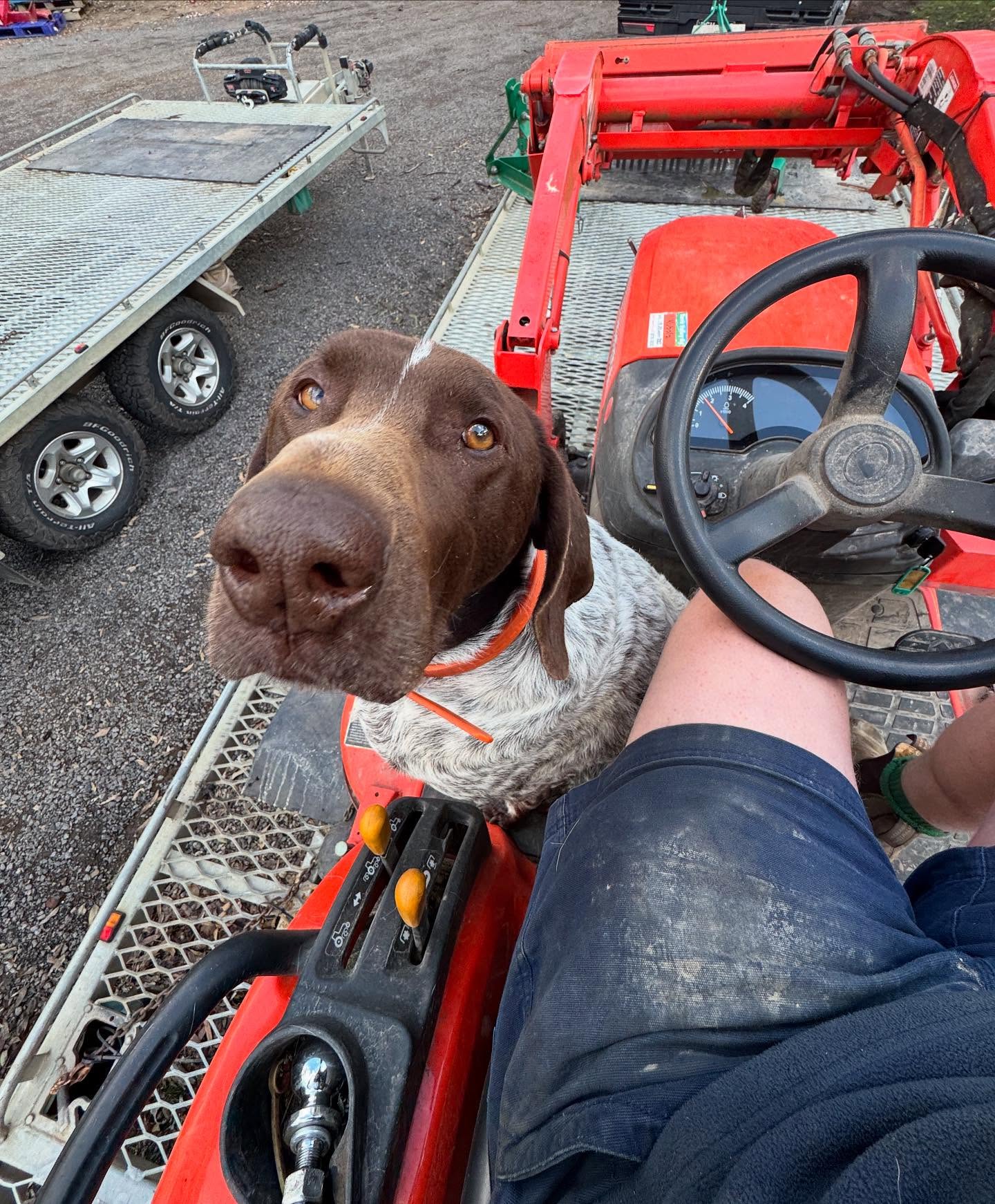 Once yearly snaps of Ruben pretending to work