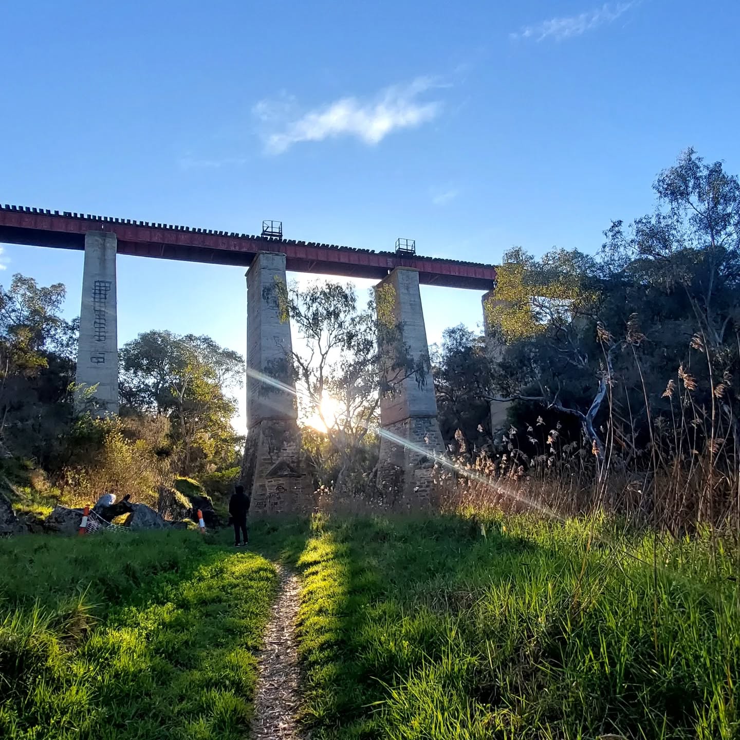 Have you ever stumbled on that perfect little spot?
Where the creek sings, the trees breathe with you,
and time feels like it’s finally slowed down. 🌿
#NatureHeals #SacredSpots #CreeksideMagic #MindfulWanderer #HiddenGemsSA #EarthConnection #SlowDownAndBreathe #StillnessSpeaks #DragonflyLyfe #QuirkyEscapes #SouthAustraliaNature