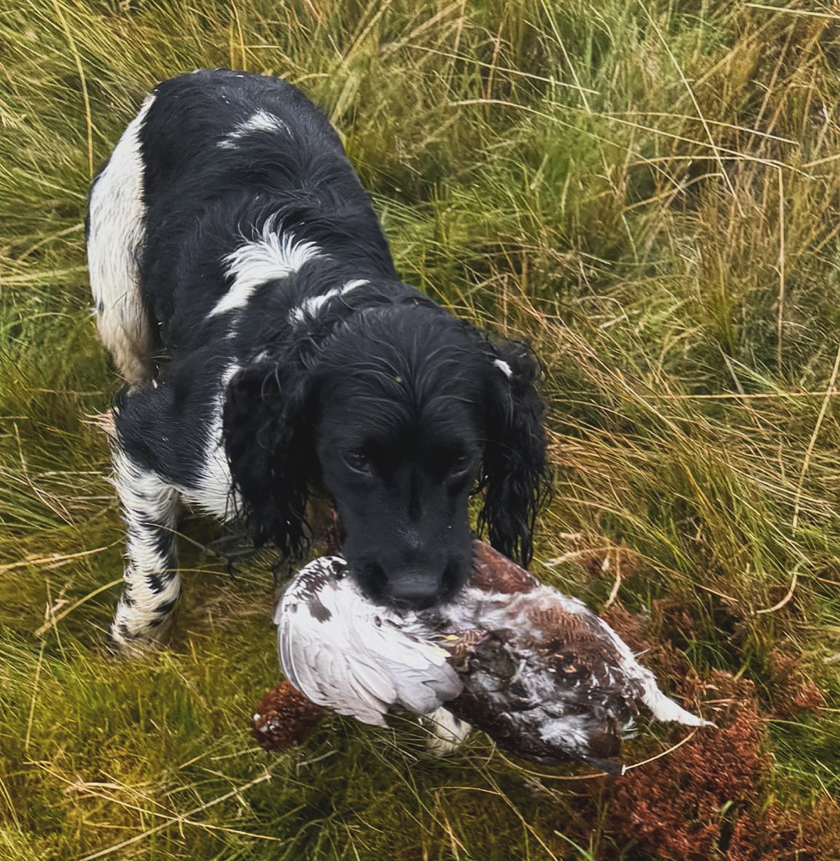 The countdown is on now 😍