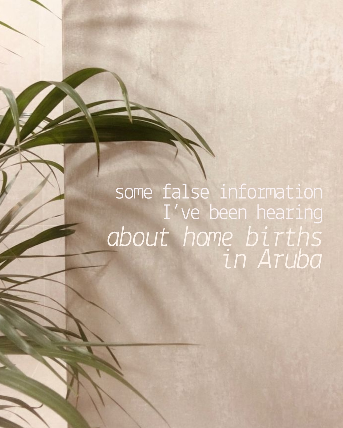 One year living in Aruba, and I’ve felt deeply grateful to call this island home. But through this whole year, I’ve noticed a wave of misinformation spreading about something very close to my heart: home births. Since I gave birth at home I get even more questions with much confusion.
After supporting many home births on the island as a doula, or attending them as a birth photographer, I want to speak gently, clearly, and without influence — this post is not about convincing anyone to choose a home birth. Every birth journey is deeply personal, and every person deserves to feel safe, supported, and informed. But with that being said, I find it very important that if someone decides to have a home birth, she receives truthful information.
🤍 Home births are allowed and supported by a midwife (partero👨🏽⚕️) on the island. Most of the times a kraamzorg or a hospital nurse is also present. Next to that you can have there anyone who you wish for, no number limits.
🤍 AZV (insurance) does cover your midwife in case of a home birth.
🤍 In case you start your pregnancy with a midwife who doesn’t attend home births, most of the times there is possibility to switch later to the one who does.
🤍 Water birth is also possible and supported at home, you can rent a birth bath from me for a 5 weeks period around your due date!
🤍 Home births on the island are more common than some people actually think.
My intention is to offer clarity. If you’re exploring your options or just curious, I’m always just a message away. 🫶🏼