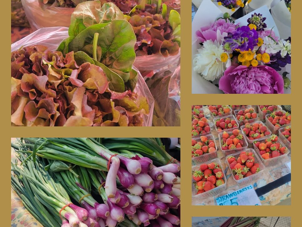 Sunday we’re returning to @riverwestfarmersmarket from 10-2. The market features our all natural home essentials plus locally grown produce, flowers, honey, meat, eggs, cheese, bakery and much more.
EBT/Market Match and WIC accepted. Stop by to shop small and support local businesses. See you there!
#shopgreenhaven #ecofriendlyproducts #smallbusiness #farmersmarkets #milwaukee