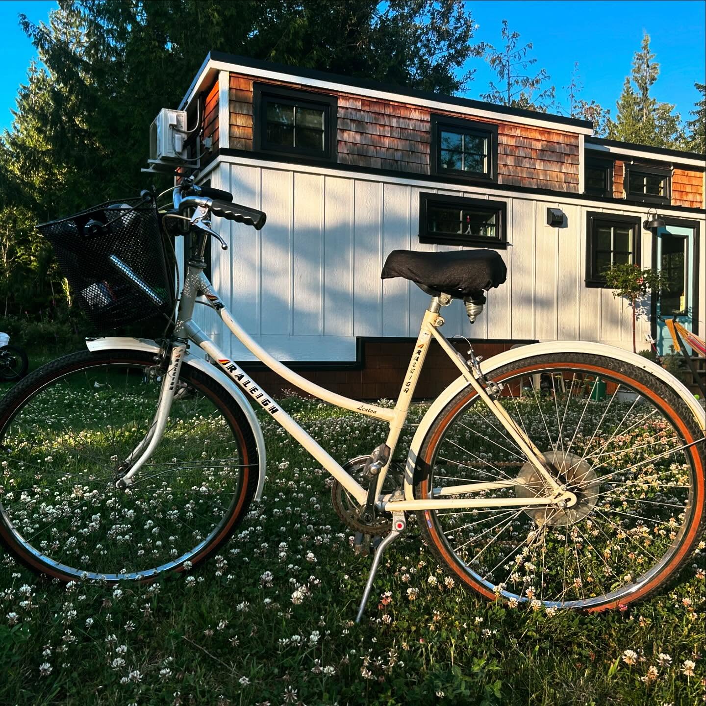 Meet Nancy, my $100 bike.