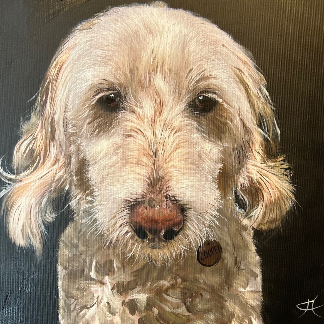 Meet Cooper! ๐พ
He is a Labradoodle - a cross between a Labrador Retriever and a Poodle. They are a popular breed due to his hypoallergenic coat and are very affectionate. Tag a dog parent whoโd love this!
#thedogportraitartist #dogloversofuk #dogsarefamily #oilpainting #clivehemsley #dogsofinsta #dogsofinstagram #dogmemories #painter #paintmydog #dogsoflymeregis #dogs #dogportraits #artist #ilovedogs #puppy #puppiesofinstagram #pet #petsofinstagram #cutedogs #cooper #labradoodle #labrador #poodle #hypoallergenic @labradoodle_club_uk