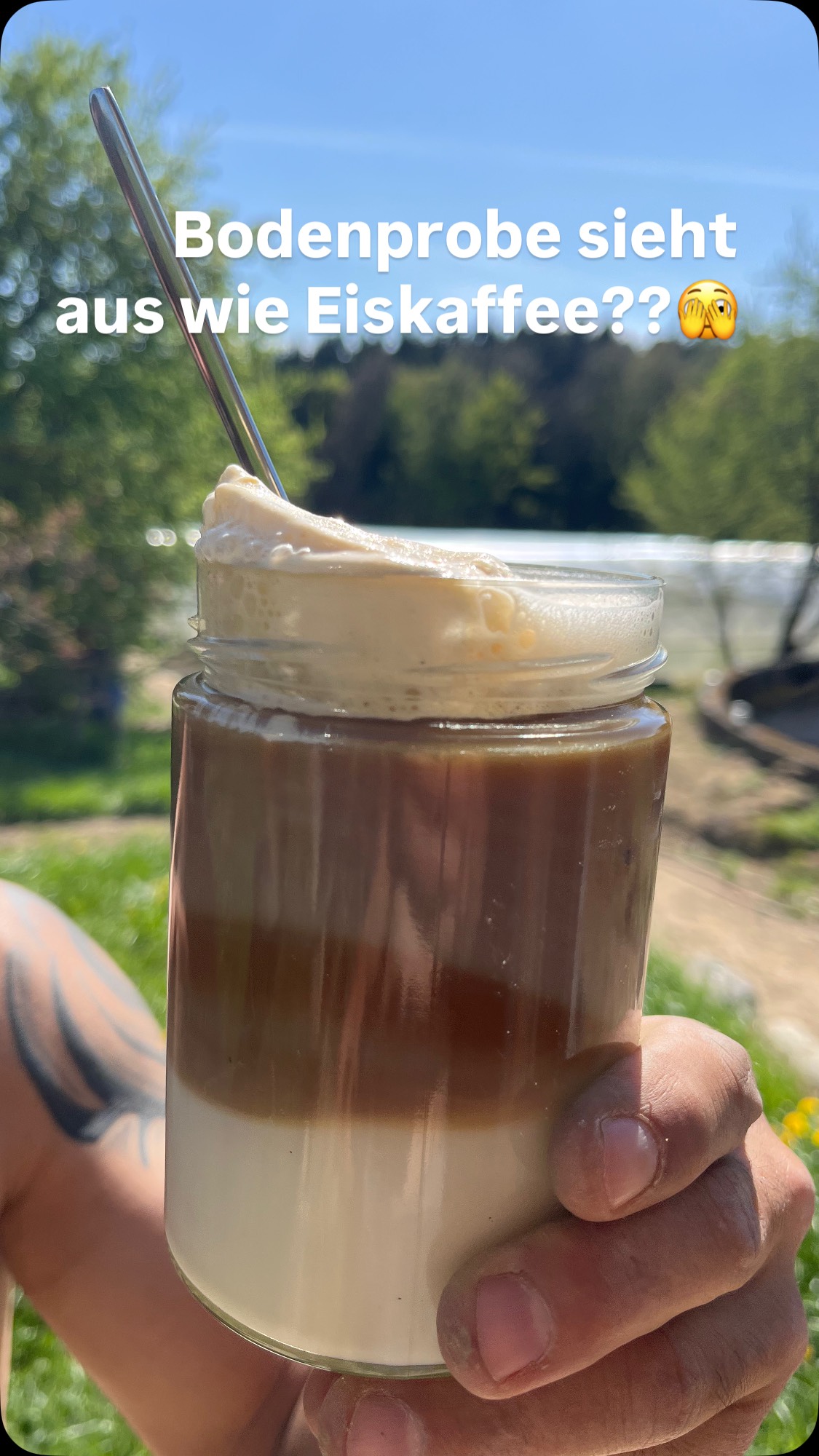 Habt ihr schon mal eine Bodenprobe gemacht?
Heute geht es mal nicht um Humus Aufbau, sonder darum was darunter liegt. Die Beschaffenheit des Bodens gibt uns Auskunft über die Wasserspeicherkraft und Durchlässigkeit. Das ist bei jeder Neuanlage relevant. Und natürlich auch für die Bepflanzung.
Könnt ihr euch noch an die Blumenwiesen aus Kindertagen erinnern? An Muttertag einen Strauß den man fast nicht mehr halten konnte?
Diese Vielzahl an Blumen wächst auf magerem Boden.
Je ärmer desto vielfältiger….
Dieses Phänomen könnt ihr bei jeder ausgehobenen Baugrube beobachten, wenn auf dem Aushub auf einmal Unmengen von Klatschmohn steht…
Relevant ist das auch für den Gemüsegarten. Natürlich versuchen wir den Boden nicht zu wenden und im humosen Bereich zu pflanzen, aber wenn die Humusschicht nicht so dick ist kommen wir zwangsläufig damit in Berührung.
Ein optimales Verhältnis wäre eine Mischung aus allen dreien, mit einem geringen Tongehalt, und Lehm und Sand. Darauf lässt sich wunderbar anbauen. Egal ob Gemüse, Blumen oder Stauden.
Wenn ihr euren Boden kennt, ist auch die Auswahl eurer Pflanzen einfacher, da ihr Standort angepasste Sorten wählen könnt.
Und wenn die Bedingungen besonders gut sind könnt ihr mit ein paar Spatenstichen gleich noch einen kleinen Naturteich anlegen, der euer Regenwasser auffängt
Die unterste Linie eurer Probe gibt Auskunft über den Sandanteil, wenn diese Schicht sehr groß ist habt ihr eine gute Durchlüftung und Wurzeln können leicht nach unten, jedoch ist hierbei der schnellste Wasserverlust
Die Mitte ist der Anteil der Lehme und Schluffe.
Gute Durchwurzelung und gute Wasserspeicherkraft
Die oberste und dünnste Schicht bilden die Tone.
Sie brauchen am längsten um sich wieder zu setzen.
Toniger Boden ist sehr speckig und glänzend, hält sehr lange Wasser, aber es kommt sehr schnell zu Verdichtung und die Wurzeln haben es schwer. Fürs Abdichten von Teichen.
Wenn ihr weitere Infos zu Boden hat und wie man am besten damit umgeht schreibt mir gerne
#permakultur #landkreispassau #boden #lebenamland #erde #bodenprobe #oneplanet #bauerngarten #leben #bauernhofleben #wasser #diy #selbermachen #vielfalt #garten