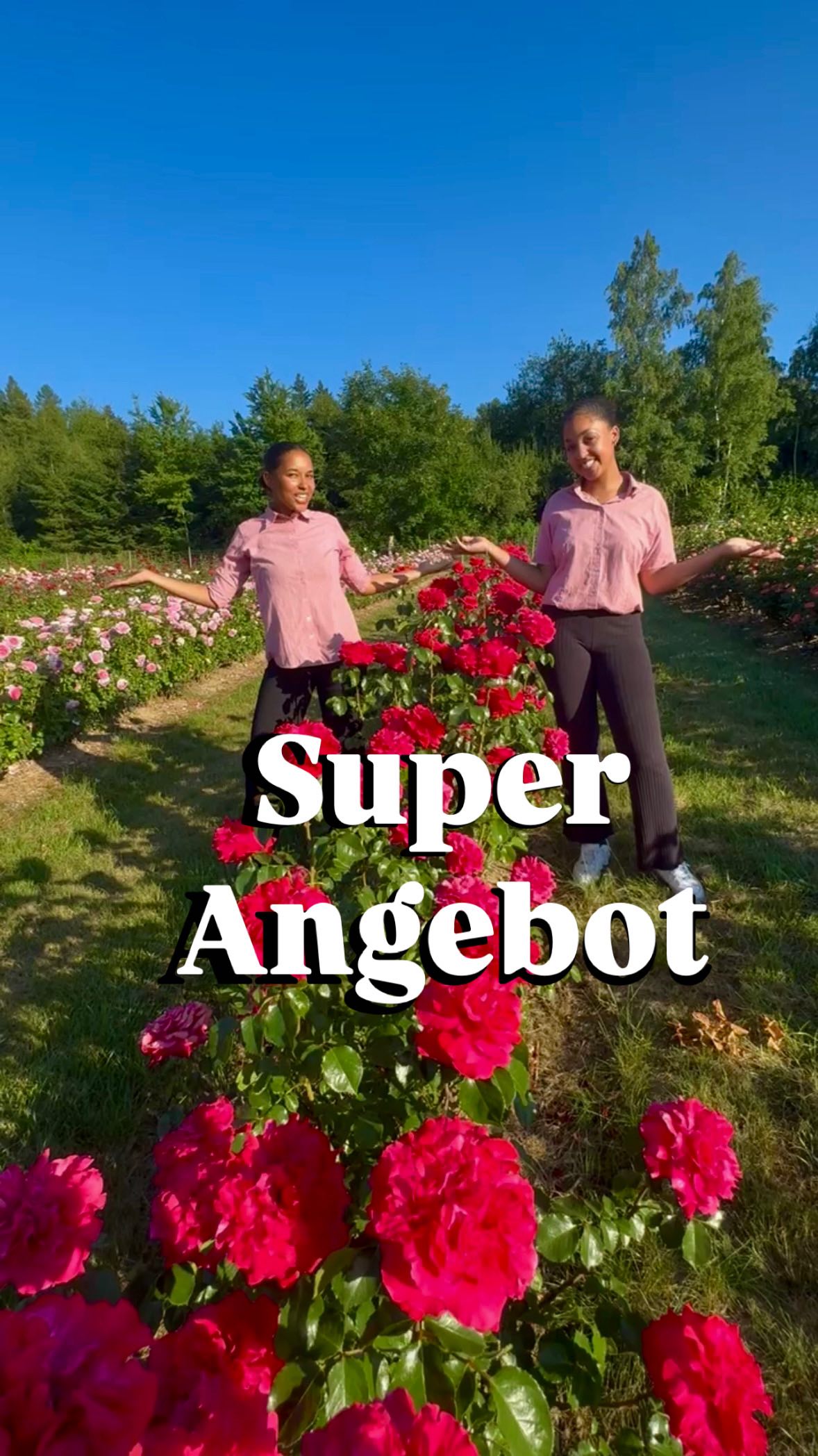 Nothing beats a Roses-Deal! ✅🌹
Auch bei uns geht kein Trend vorbei –
und dieser hier bringt euch was richtig Schönes:
Rosen. Rabatte. Richtig viel.
Bei uns gibt’s zwar keine Jet2-Holidays –
aber wenn ihr für 1.000 € Rosen kauft,
bekommt ihr für 200 € extra Rosen on top.
Kein Gutschein. Kein Code. Einfach: mehr Blüten.
Aber keine Sorge –
so viel müsst ihr gar nicht ausgeben,
um euch wie im Rosenhimmel zu fühlen:
👉 1 Eimer Rosen = 12,50 €
👉 2 Eimer Rosen = 17,50 €
= Ihr spart 7,50 € – das sind 40 %!
Die Saison läuft. Die Rosen blühen.
Kommt vorbei, gönnt euch Duft und Farbe satt
– direkt vom Feld, täglich frisch geschnitten.
Euer Markthalle Wassmer Team
#freilandrosen #markthallewassmer
*die Aktion ist nicht kombinierbar und nur so lange der Vorrat reicht. Tagespreise.