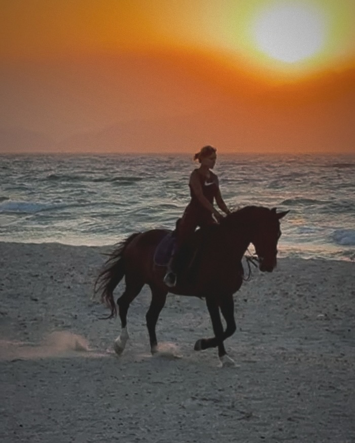 #mando #kwpn #kwpnhorse #saltlakestables #horseridingkos #kos #kosisland #kosgreece #sunset