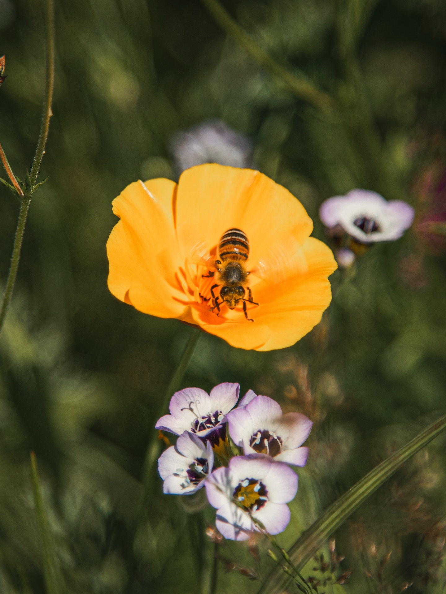 Impressionen vom Golfplatz.
#golf #vechta #golfplatz #golfimnorden #golfphotography #golflife #golfdeutschland #golfcourse #golfclub #oldenburgermünsterland