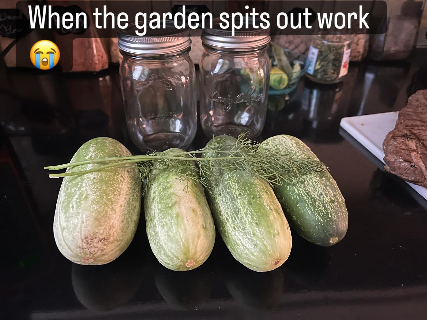#cucumbers #gardening #pickles #dill #canning