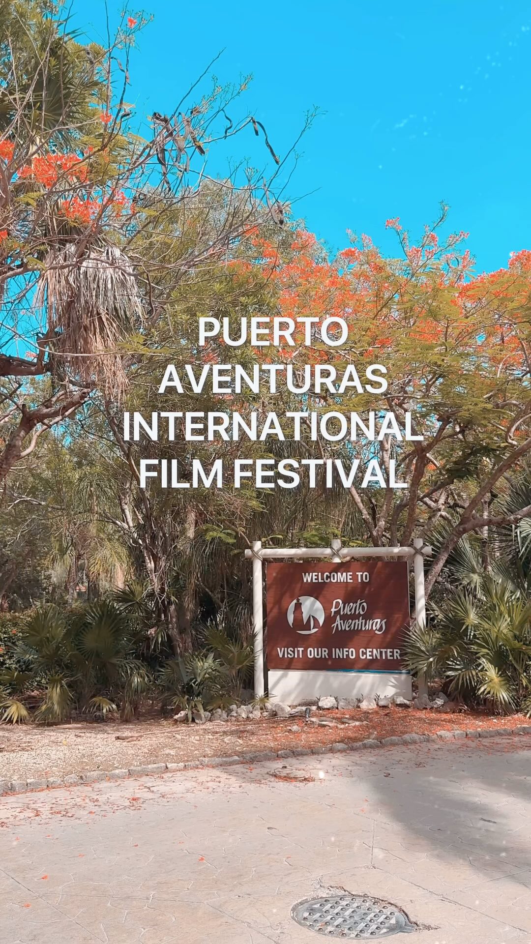 16 days before first summer early bird deadline! Submit your #filmfestival project today!