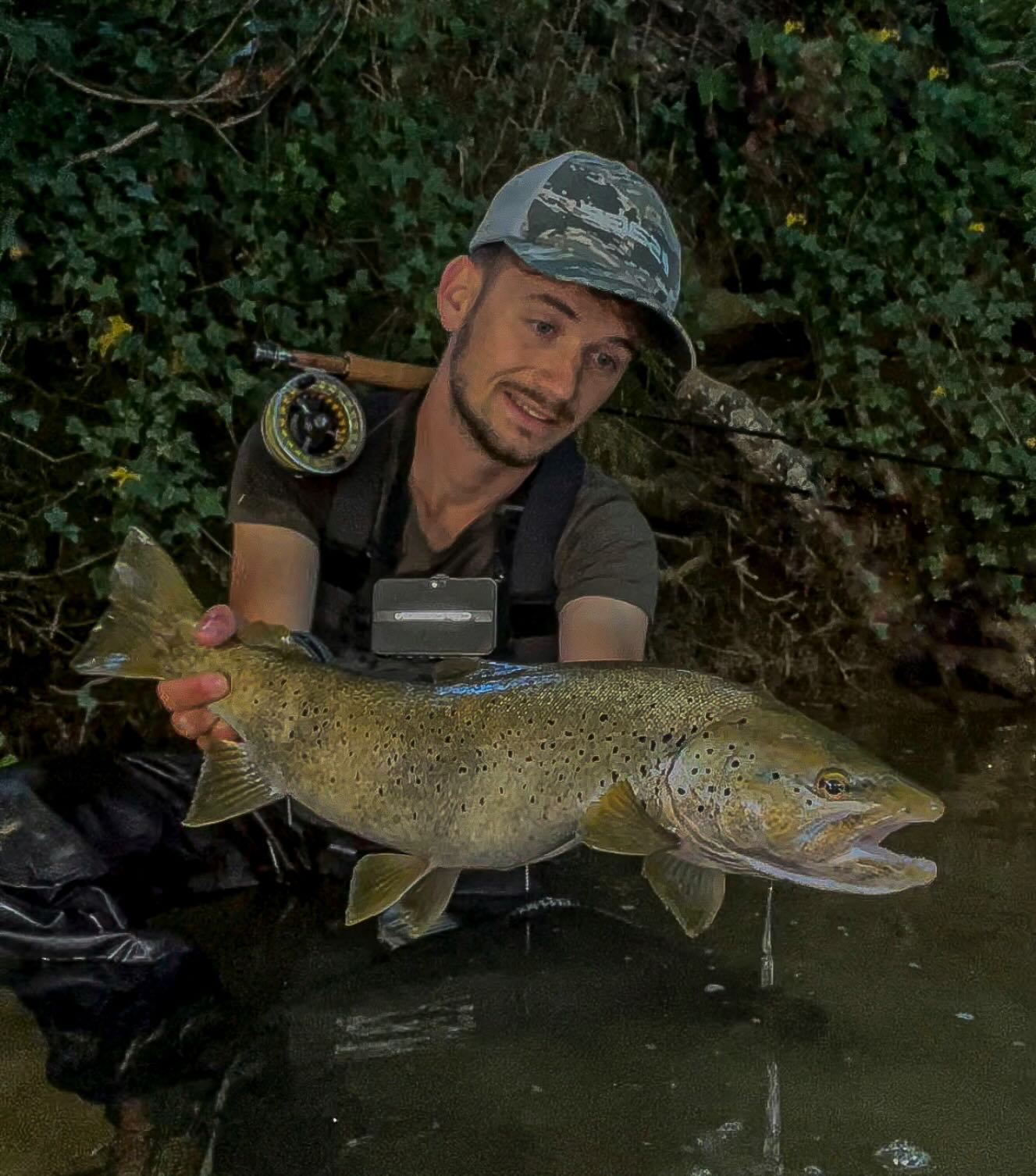 Quand les étoiles s’alignent pour le coup du soir ✨🙏🏼😇
https://www.halieutique-gdn.com
@orionflyfishing
#truite #truites #truitefario #truitesauvage #pechealamouche #pecheenfrance #flyfishing #pêcheennymphe #nymphs #nymphe #pechetruite #trout #troutfishing #troutbum #troutflies #troutfly