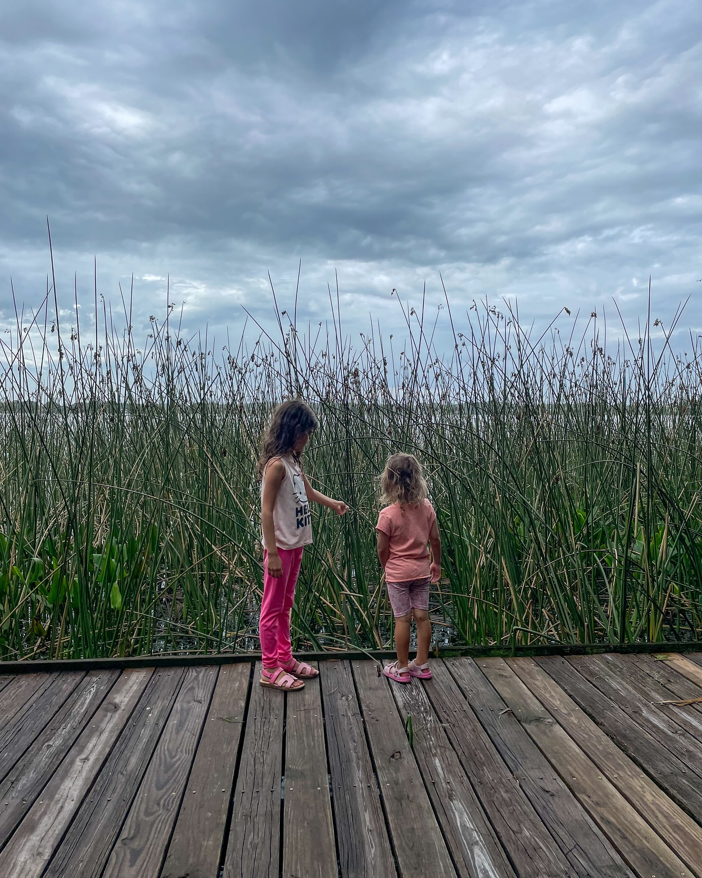 Day 2 of road tripping, 10 more to go.
Mount Dora, FL.