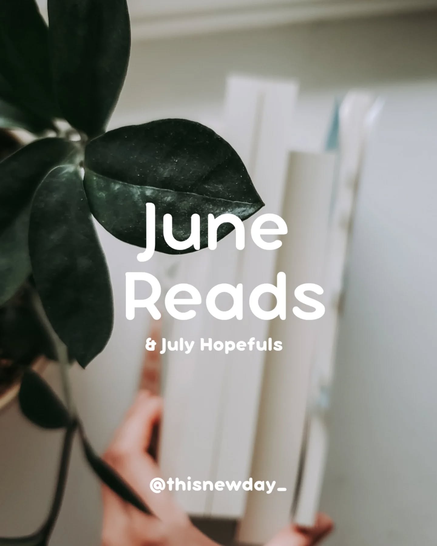 ✨June Reads ✨
** Full book reviews for each of the books I read so far this year can be found in my 2025 highlight.
⭐ 5 Stars
• These Silent Woods by Kimi Cunningham Grant
⭐ 4 Stars
• No Stone Unturned by
• The Atlas of Untold Stories by Sara Brunsvold
• Carnegie's Maid by Marie Benedict
• The Words We Lost by Nicole Deese
• In the Presence of My Enemies by Gracia Burnham
• Every Hour Until Then by Gabrielle Meyer
⭐ 3 Stars
• The Nature of Disappearing by Kimi Cunningham Grant
➡️ What was your favorite read in June?
.
.
#junereads #junereadingwrapup #junereading #fictionforwomen