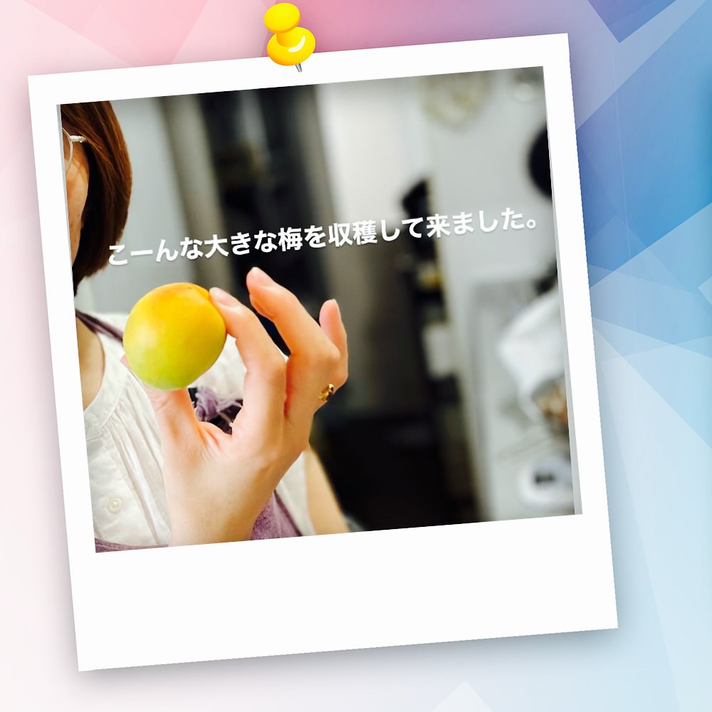 見て見て!
こーんな大きな完熟梅が取り放題の夫の実家。
梅仕事って面倒くさそうって敬遠していた私が
気づけば5kg収穫してしまった…
恐るべし収穫の魔力。
これは太古からの抗えない魔力😈
さてさて。
梅干し、梅シロップ。
お次は何をこさえましょうか?
#高田うめ #梅の収穫 #収穫の喜びに夢中 #主のいない庭 #アーユルヴェーダ料理 #巨大梅 #クッキング☆ラボ #梅ドレッシング #太古の記憶 #抗えない魔力 #それは収穫