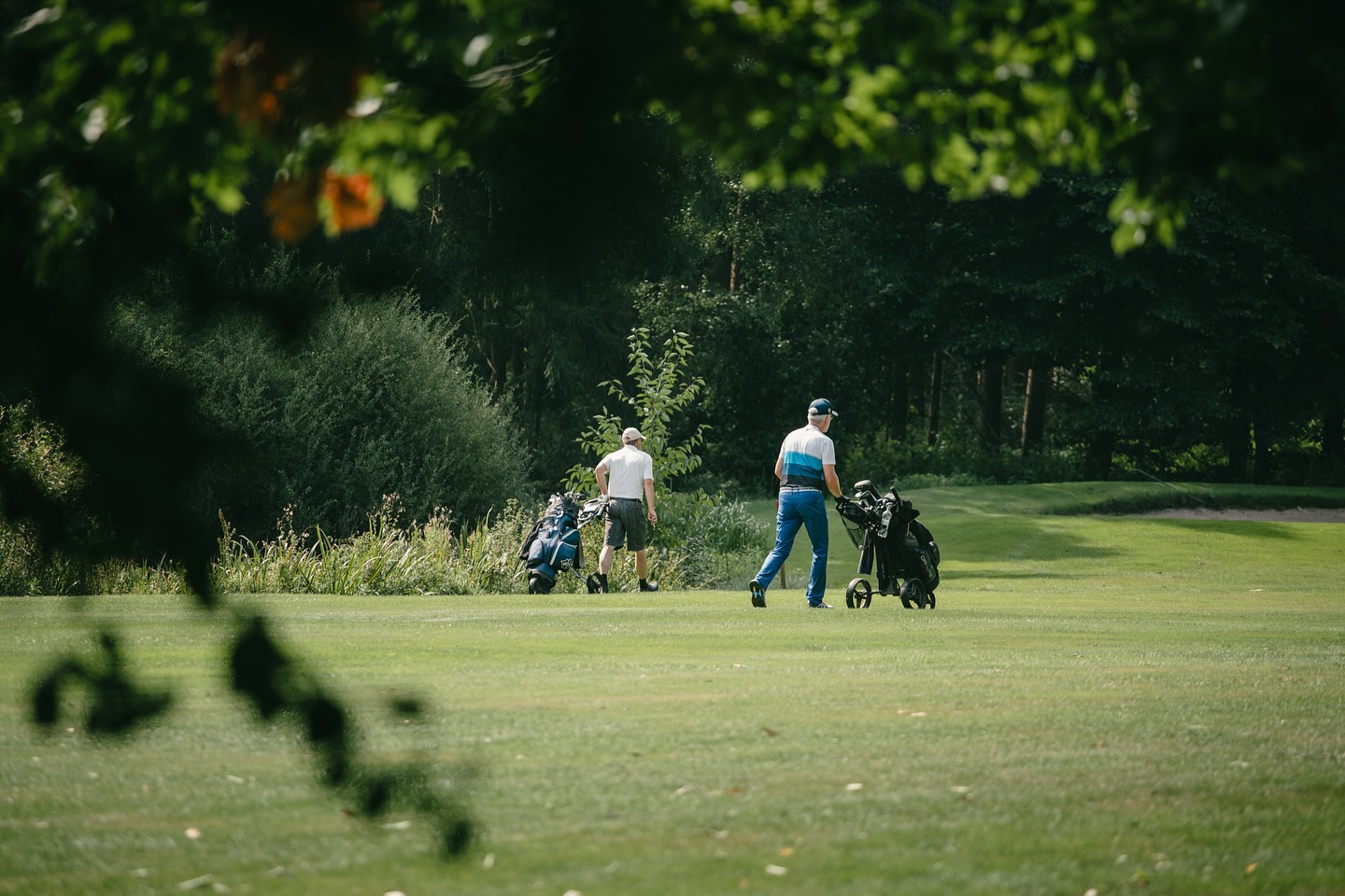 Impressionen vom Golfplatz.
#golf #vechta #golfplatz #golfimnorden #golfphotography #golflife #golfdeutschland #golfcourse #golfclub #oldenburgermünsterland