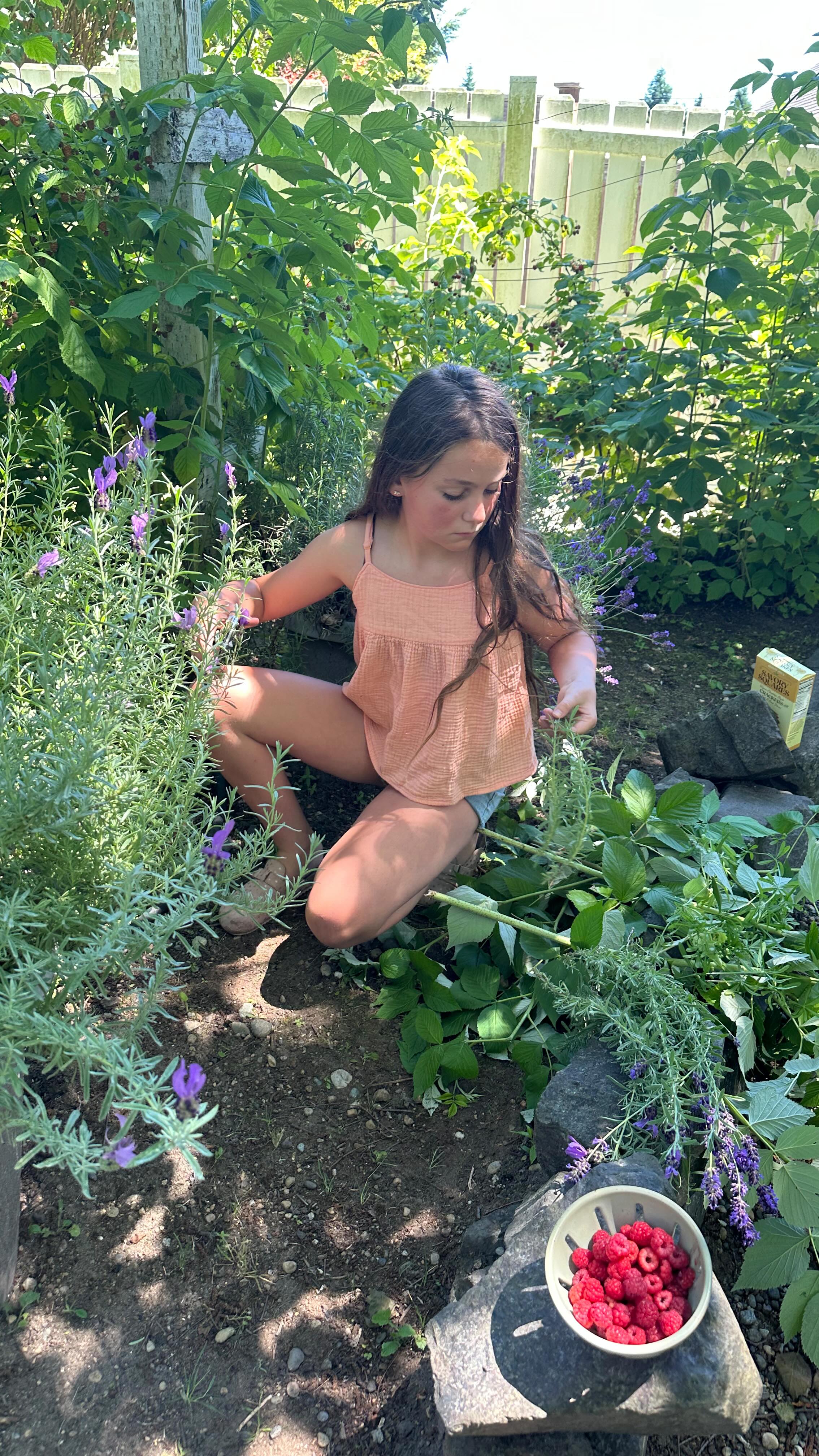 You know it’s summer when…
.
.
.
.
.
.
#smallpleasures #simplejoys #summergarden #pnwonderland #pnwonderdog #thefuturewild