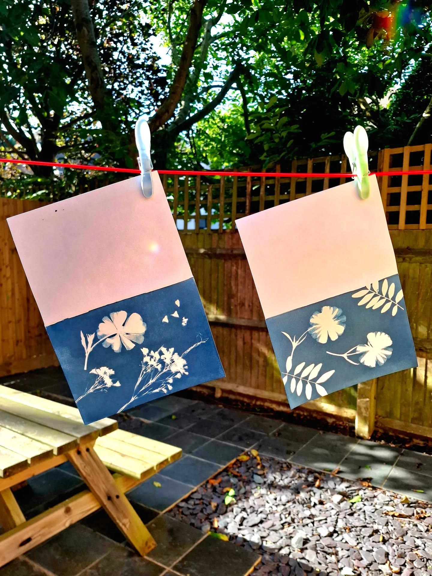 Sunny days are for Cyanotypes!đ
.
.
.
#cyanotype #cyanotypeprint #cyanotypes #cyanotypeart #floralprint #natureinspired #cyanotypetests #sunnydays #perfectdayforcyanotypes