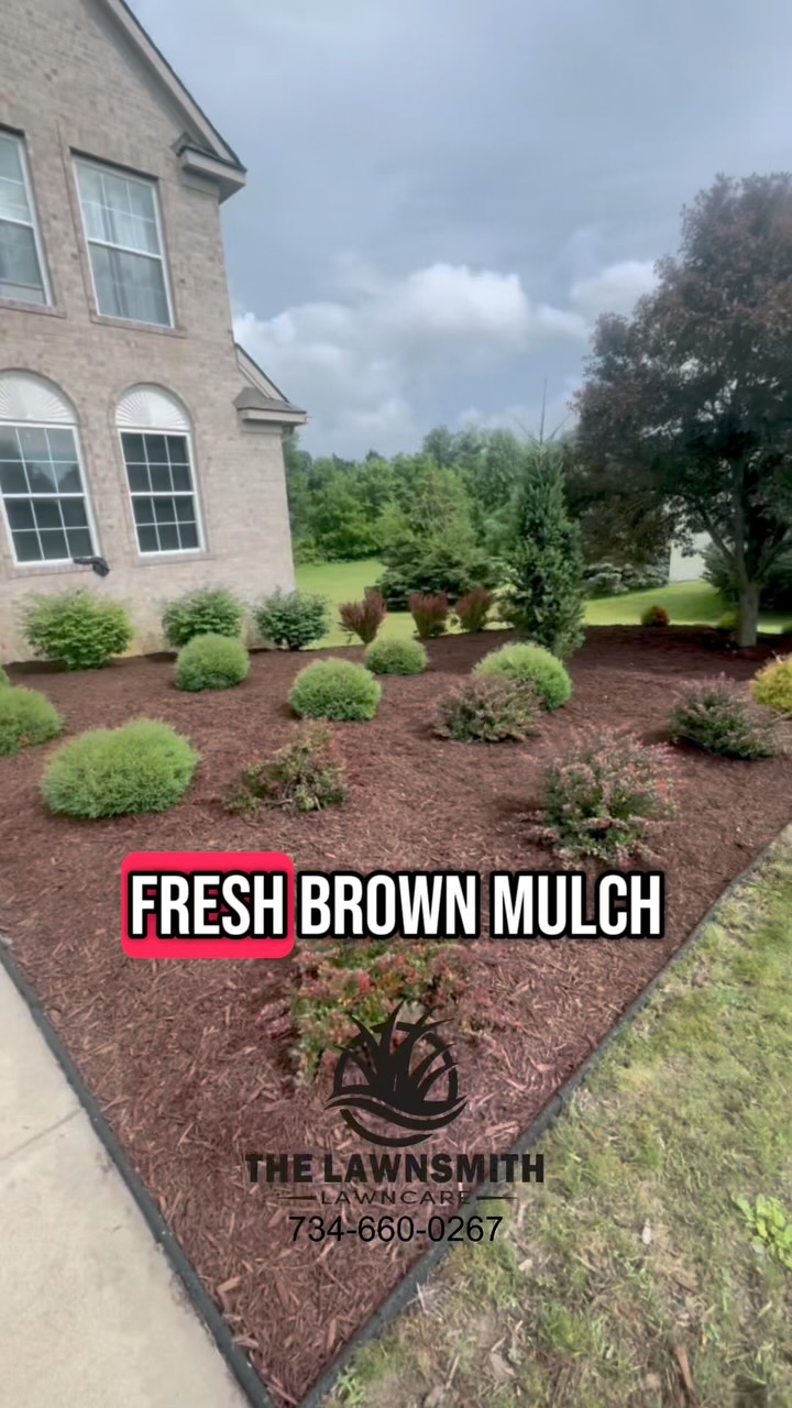 Mulch and weeding job complete ✅
Contact The Lawnsmith for all of your landscape and Lawncare needs!
#lawncare #mulch #mulching #landscape #landscaping #business #businessowner #homeowner #michigan #annarbor