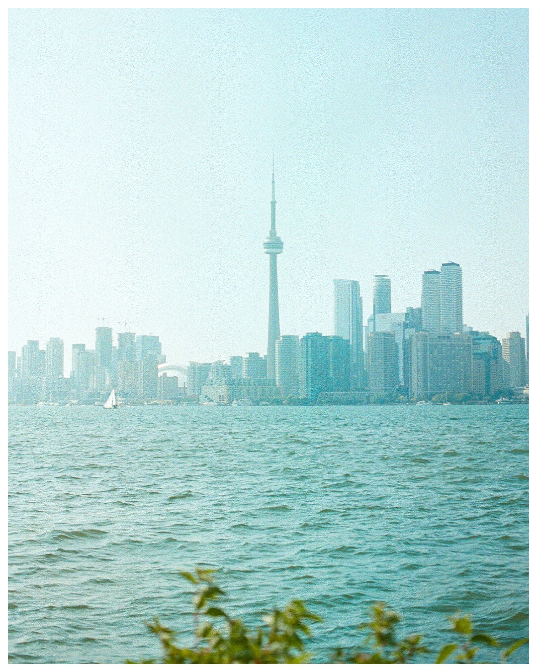 Happy Canada Day!
#FilmPhotography #ShootFilm #MadeWithPortra #FilmPhotographer #35mmFilmPhotography #35mmCamera #FilmPhoto #FilmPhotoOfTheDay #FilmIsNotDead #TheFilmCommunity #ExpoFilm #Portra400 #Ektar100 #CanonAE1 #KodakFilm #KodakProfessional #NovaScotia #Toronto #CanadaDay