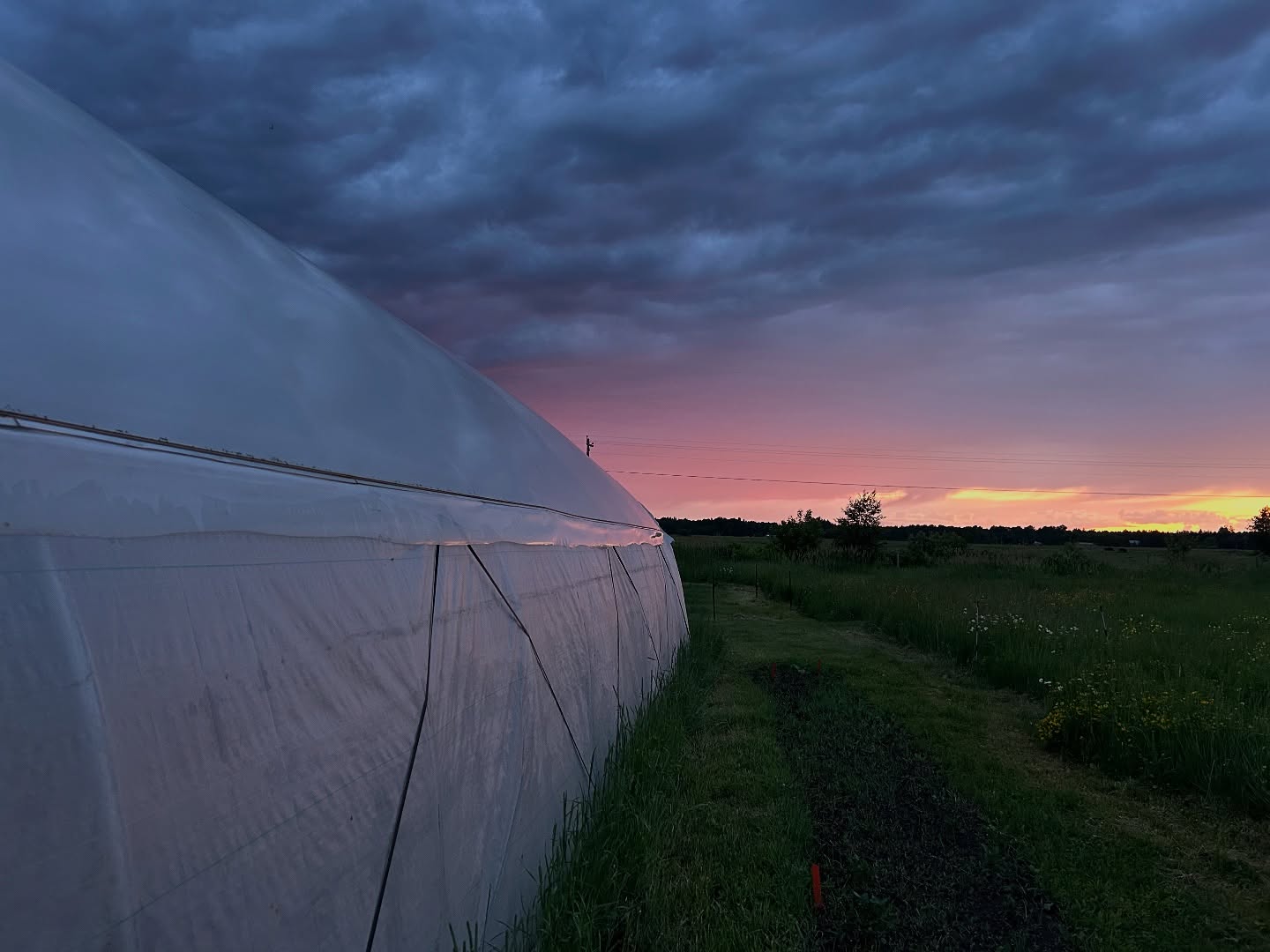 Last of the June evening skies.
#hightunnel #hoophouse # smallfarm #seedkeeping #june #michigan #greatlakes #zone4 #farm