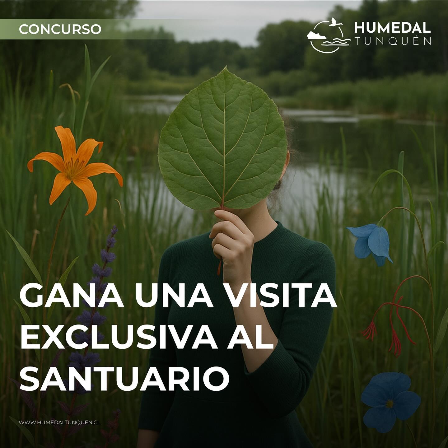 1. Sigue nuestra cuenta
2. Comparte esta publicación en tus historias
3. Etiqueta a 2 personas que amarían este lugar
Y participa por una experiencia guiada