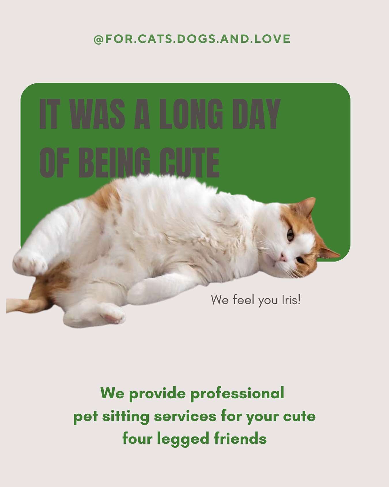 Iris is such a cutie! We have the best time together 🥳
When you’re away, we provide you with professional pet sitting services for your total peace of mind. Your pets are being taken care of 🐱🐶