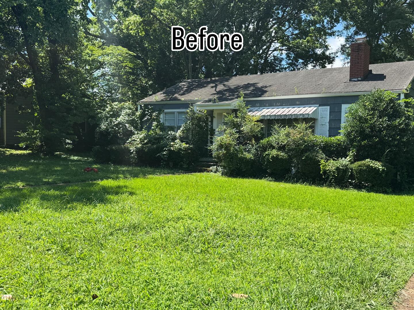 Recent home transformation. Definitely makes the house feel more alive. Tell me your thoughts!