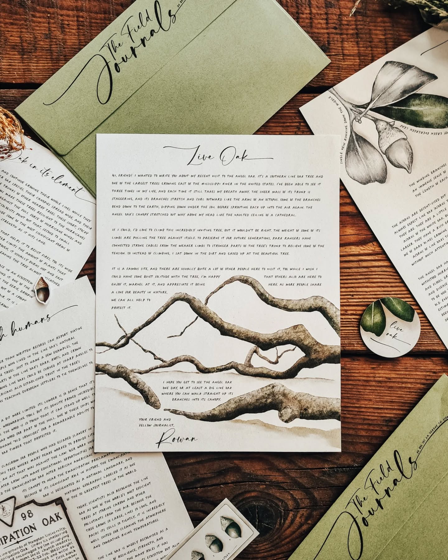 This month, we're exploring the live oak tree! This tree is a symbol of stability and reliability both in its ecosystem and across human history. Taking a trip to see the famous Angel Oak, Rowan explores the many ways that people and animals alike rely on this astounding tree, even in ways we don't immediately realize.
Subscribe before July 12th to join us for this forest exploration!