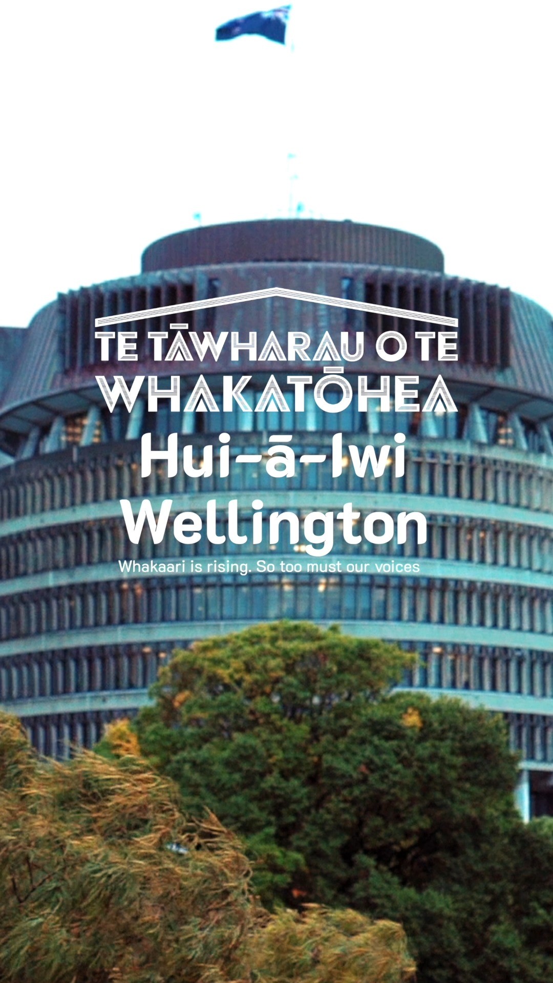 𝗠𝗮𝗿𝘂𝗵𝗶𝗮 𝗮𝘁𝘂 𝗶 𝗿𝘂𝗻𝗴𝗮 𝗼 𝗧𝗶𝗿𝗼𝗵𝗮𝗻𝗴𝗮 𝘁𝗲 𝘁𝗼𝗵𝘂 𝗪𝗵𝗮𝗸𝗮𝗮𝗿𝗶. 𝗧𝗶𝗵𝗲𝗶 𝗠𝗮𝘂𝗿𝗶 𝗢𝗿𝗮!
"Whakaari is rising. So too must our voices. Be part of Te Puia o Whakaari — the long-term plan shaped by us, for us."
Saturday, 12th of July 2025
9am - 3pm
Brentwood Hotel – 13-20 Kemp Street,
Kilbirnie, Wellington