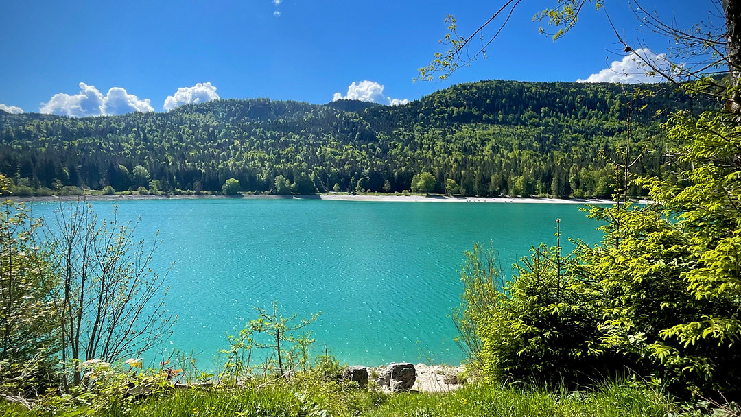 Entdecke die Schönheit des Walchensees mit dem Fahrrad! Von atemberaubenden Ausblicken bis hin zu versteckten Schätzen – dein Abenteuer wartet! 🌊🚴♂️
Der Walchensee, oft als die „bayerische Karibik“ bezeichnet, ist ein wahres Paradies für Wanderer, Radfahrer und Naturliebhaber. Mit seiner kristallklaren Wasseroberfläche und den majestätischen Bergen im Hintergrund bietet der See eine einzigartige Kulisse. Die Umrundung des Sees mit dem Bike ist ein Highlight, das Abenteuer und Genuss perfekt vereint.
Die Fakten zum Walchensee
👉 Fläche: 16,4 km² – einer der größten und tiefsten Alpenseen in Deutschland.
👉 Maximale Tiefe: Beeindruckende 192 Meter.
👉 Wasserqualität: Herausragend, mit einer Sichttiefe von bis zu 20 Metern.
👉 Lage: Gelegen auf 800 Metern Höhe in den Bayerischen Voralpen, umrahmt von Bergen wie dem Herzogstand und Jochberg.
👉 Den kompletten Bericht könnt ihr auf unserer Homepage lesen.
#Walchensee #Berge #Seen #wandern #natur #essen #gipfelglückundnaturgenuss #bergliebe #sonnesatt #loveit #landschaft #sunisshining
☝️ Tipp: Unsere Homepage lässt sich auch wunderbar auf dem Handy lesen. Kostenlos und ohne Anmeldung
✨ Entdeckt die Schönheit der Natur und den Geschmack eurer Heimat