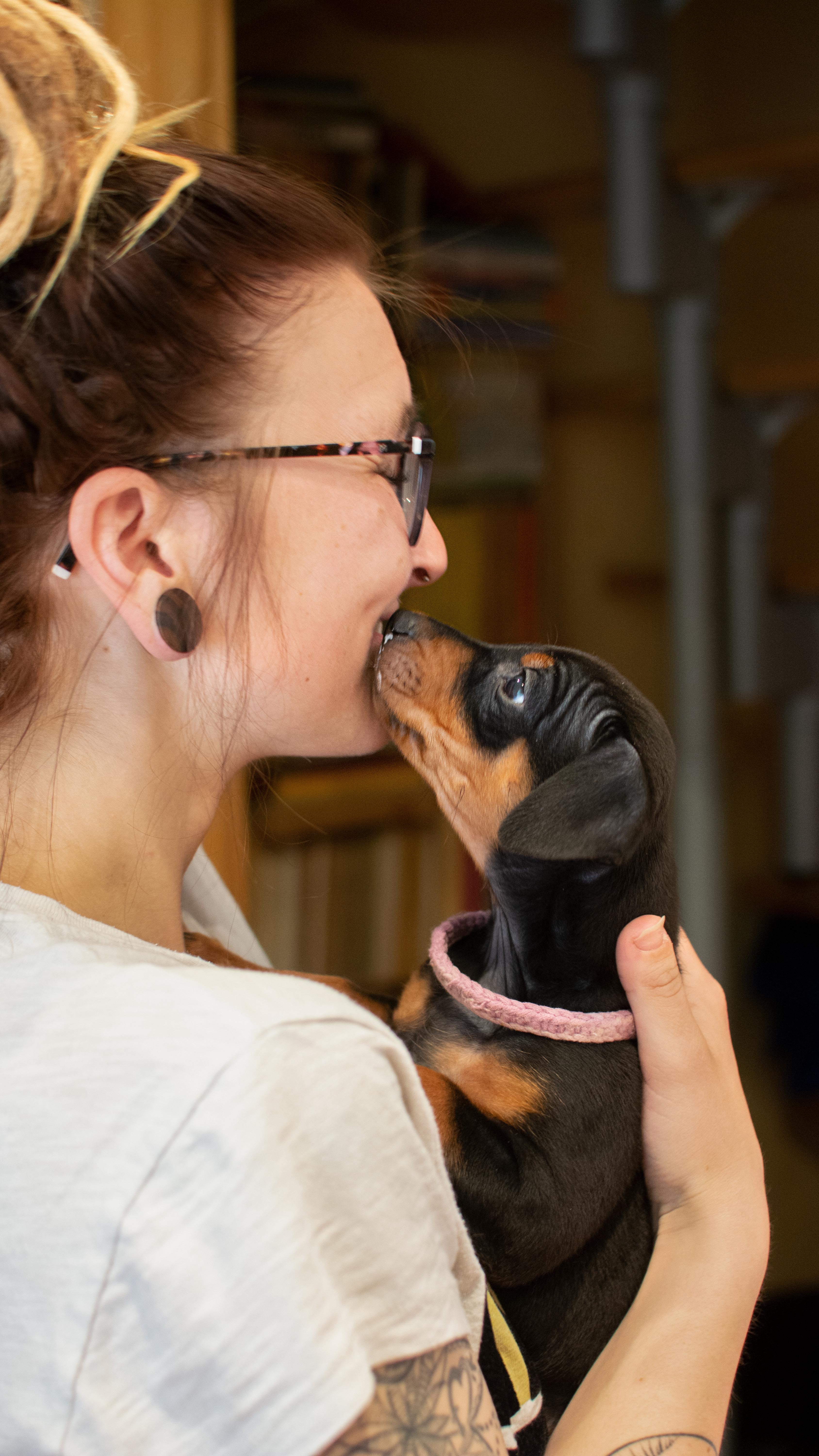 WELPENSHOOTINGS & WURFBEGLEITUNGEN 🐶
Wurfbegleitungen sind eine super Möglichkeit Erinnerungen zu schaffen und das aufwachsen der Welpen in verschiedenen Entwicklungsphasen mit allen Veränderungen festzuhalten. 🏁
Ich habe mal ein paar erste Info‘s zusammen gefasst und vermutlich wird es einen weiteren Beitrag über die Requisiten und weiteren kleinen Tipps geben. 🤗
•
📅 PLANUNG & TERMINABSPRACHE
Zunächst besprechen wir gemeinsam, wie viele Termine sinnvoll sind. Üblicherweise finden die Shootings in der 2., 5. und/ oder 8. Lebenswoche statt.
📋 VORBEREITUNG
🐶 Sauberkeit
Am besten du hast eine Bürste und Feuchttücher auch während des Shootings griffbereit, um den Welpen insbesondere Augen, Nase und Pfoten auszuwischen. Ich habe ansonsten auch eine kleine Hundebeautytasche dabei. ☺️
⛰️ Location/ Setting vorbereiten
Für das erste Shooting bringe ich meistens mein kleines, mobiles Indoor-Studio mit. Etwas Platz oder ein großer Tisch reichen aus. Für die späteren Outdoor-Shootings suchen wir gern gemeinsam eine geeignete Location.
🧺 Requisiten bereitlegen
Wir besprechen vorab welche Decken, Körbchen oder Spielzeuge du auf den Bildern haben möchtest oder dir wichtig sind, im besten Fall liegt zum Shooting schon alles bereit.
📷 DAS SHOOTING
Meistens bauen wir uns, je nach Anzahl der Welpen und Termine, 1-3 Settings auf und ich fotografiere die Welpen einzeln im Portrait, mache Ganzkörperaufnahmen, sowie Gruppenbilder. Aufnahmen der spielerischen Interaktion innerhalb der Gruppe dürfen natürlich auch nicht fehlen. Wir nehmen uns viel Zeit und achten darauf, den Welpen zwischendurch genug Ruhephasen zu gönnen.
•
Mit diesen und weiteren kleinen Vorbereitungen, sowie deiner Unterstützung während des Shootings schaffen wir gemeinsam wunderschöne Erinnerungen an diese besondere Zeit im Leben der Welpen. 🫶🏼🐶
•
Du hast Fragen oder möchtest durch den Infoflyer für Wurfbegleitung lesen? Meld dich gern oder schau auf der Homepage 🌸
📧 info@tierfotografie-thueringen.de
💻 www.tierfotografie-thueringen.de
#hundefotografie #tierfotografie #thüringen #welpen #wurfbegleitung