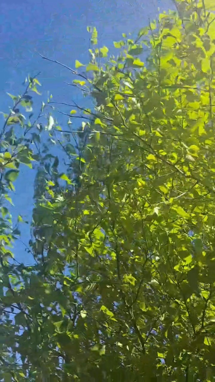 Introducing Lesley Mckenzie
Snapshot of of my life as an artist... I live in Tong on the Isle of Lewis.. a great location for walks along the shore with my dog, May, and dips in the sea.. the sky is vast, the light is in constant change..and I am so thankful for the life I have here..My studio is small, but completely functional, albeit completely chaotic! I love order, but this goes to the wind when I'm in the creative zone.. My art is inspired by seeing the beauty in everything...the often under celebrated greys and dulls of the Hebridean climate we all love to complain about..I find joy in the colours, even when my heart is aching for sunshine..I look forward to chatting to folk at our Open Studios event in the Town Hall
#OpenStudiosHebrides #OpenStudios #LocalArtistShowcase #OuterHebrides #IsleOfLewis #IsleOfHarris #Crafts #ArtsAndCrafts #Artists #ScottishArtistsAndMakers #Stornoway #Hebrides