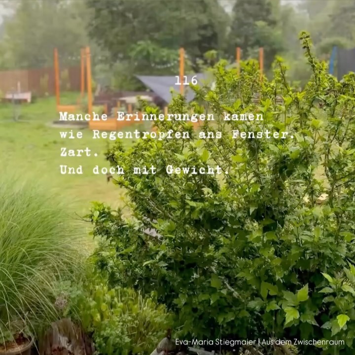 AUS DEM ZWISCHENRAUM 📖🍷✨
>> Link in der Bio
#poesie #ausdemzwischenraum #neuesbuch #wildflowerandsoul #evamariastiegmaier #stilleseelen #wachstum #psychologie #leisewelten #raumundzeit #heilsamepoesie #vonherzzuherz