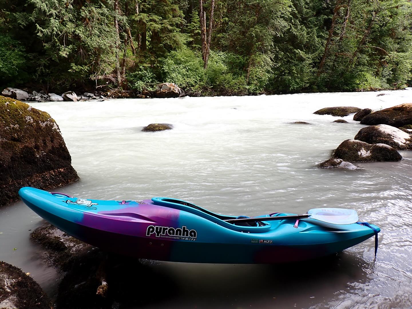 Scoping out the lower Mamquam section as a teaching venue. There’s a short class II+ section with the option of putting in below the dam to add some class III into the mix.
Plenty of other rivers and sections to check out in the area, and looking forward to getting folks out!
@lendalna
@pyranha.kayaks
@nrsweb
#whitewater #kayaking #paddlesport #adventuresport #training #outdoors