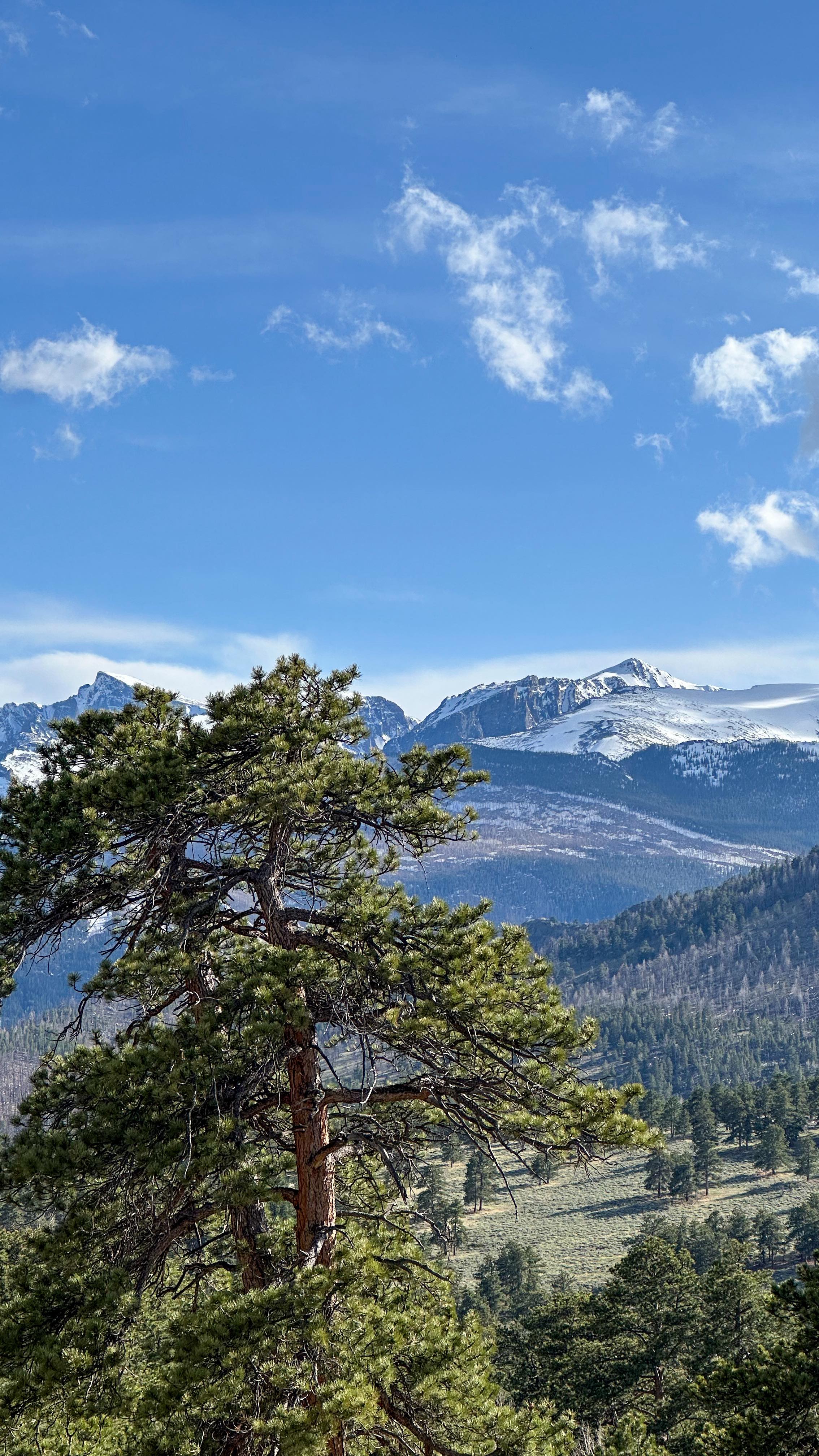 There’s nothing like the crisp mountain air 🏔️
.
.
.
#VisitEstesPark #colorado_travel #coloradoexperiences #YesVisitTheUSA #TLPicks #girlswhotravel #familyroadtrip